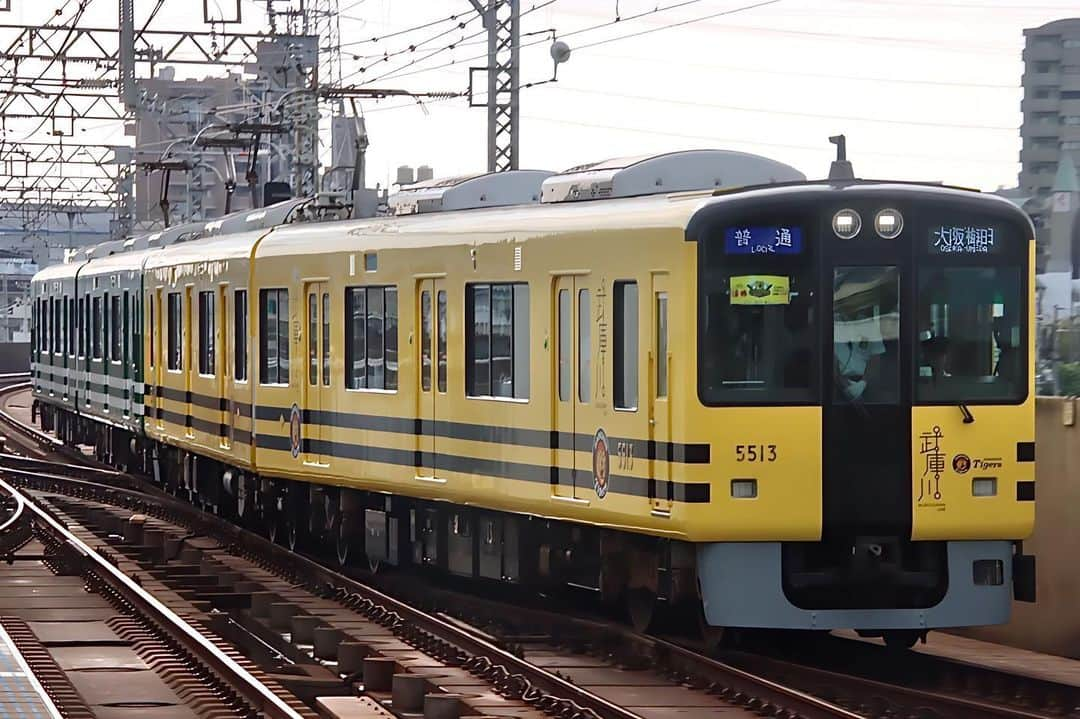 徳永ゆうきのインスタグラム：「. . センタープール前では 優等列車の通過待ち。 . -2023.10.01- . #鉄道写真 #撮り鉄 #鉄道好き #阪神電鉄 #阪神電車 #尼崎センタープール前駅 #5500系 #タイガース号 #甲子園号  #普通 #大阪梅田行き #阪神タイガース #タイガース #武庫川線 #武庫川線用車両」