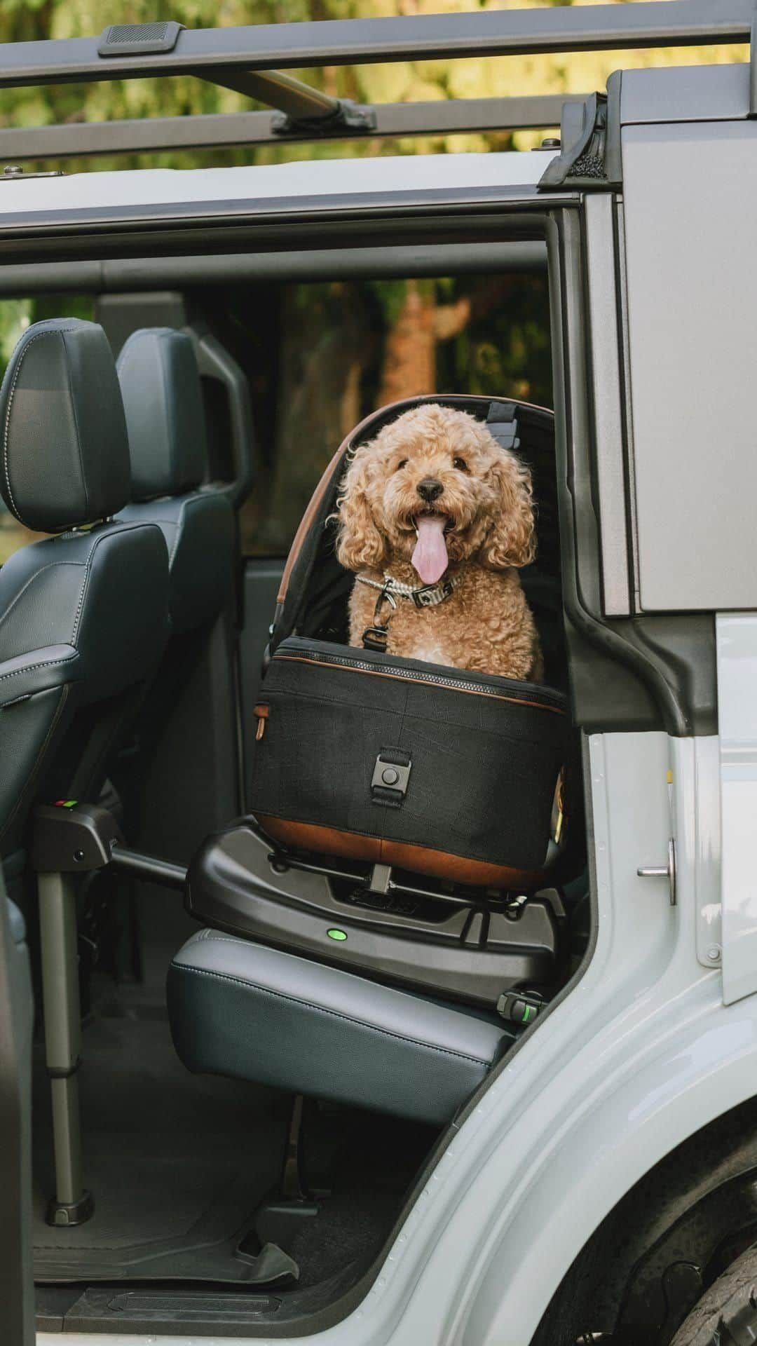 nunaのインスタグラム：「Introducing @tavopets from the makers of Nuna. Reimagine pet protection—take rides with your furry sidekick to a whole new level with our new pet car seat. Tavo removes the guesswork out of what it takes to travel comfortably and safely with some of your most precious cargo 🐱🐶     Who in your life needs to discover this NEW standard of pet safety? Tag them below and follow @tavopets for more to come! 🐾」