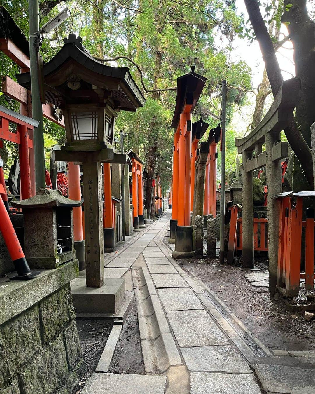 伊藤みきさんのインスタグラム写真 - (伊藤みきInstagram)「I had great time with you @elenamuratovacoach ❤️  #shigatrip #hino #kyoto」10月23日 10時46分 - itomikiitos