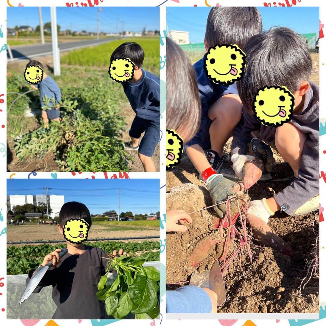 小倉優子さんのインスタグラム写真 - (小倉優子Instagram)「昨日は、埼玉県にある「むさしの村」に遊びに行きました😊💓  収穫体験、縁日、遊園地 一日中楽しみました‼️  初めて収穫した落花生🌟 早速茹でてみます✨」10月23日 10時39分 - ogura_yuko_0826