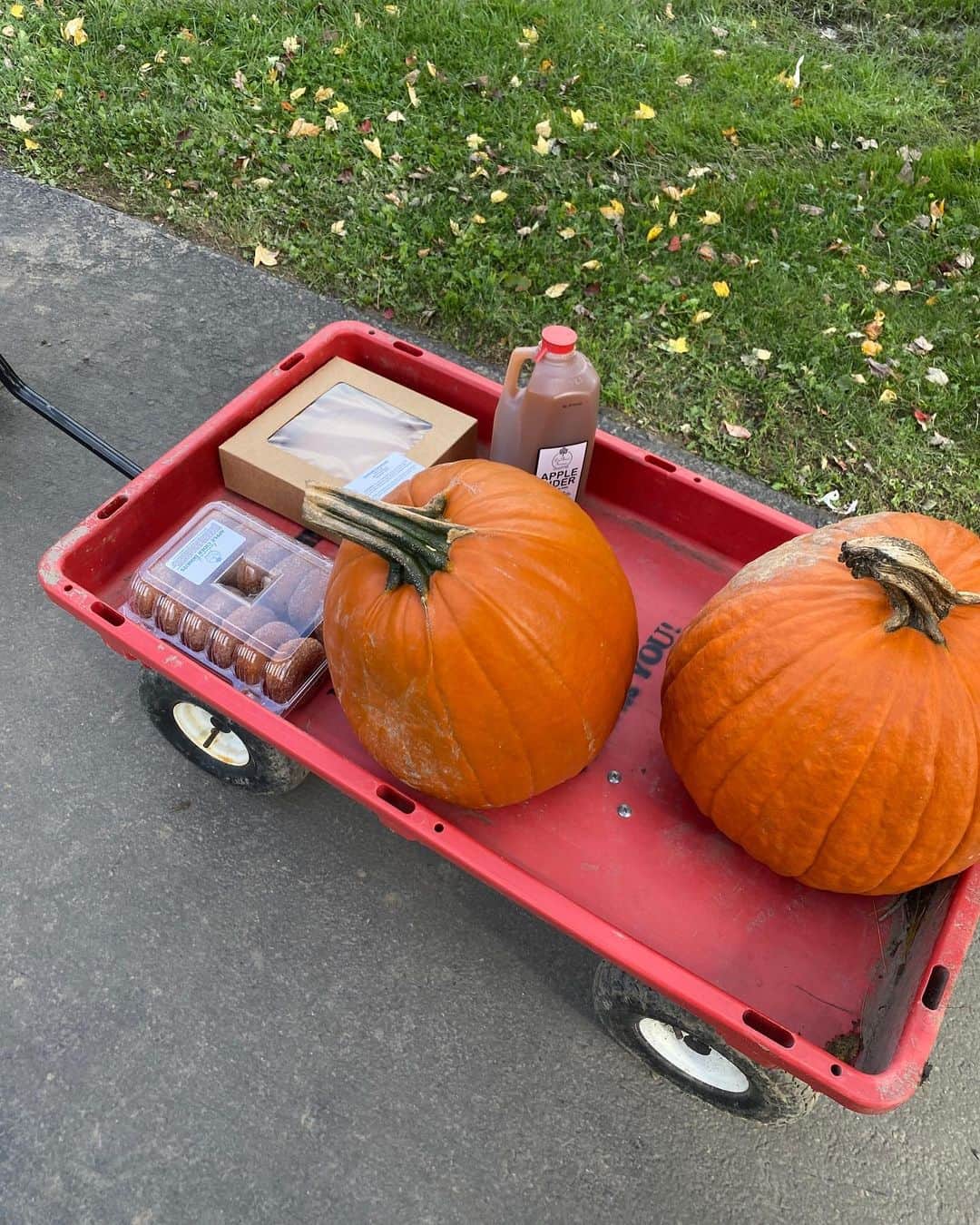 ベイカー恵利沙さんのインスタグラム写真 - (ベイカー恵利沙Instagram)「We’ve got our pumpkins 🎃  今年もパンプキンピッキング🍁  アップルサイダー、アップルサイダードーナツ、 パンプキンパイ、飾り付けのパンプキンはアメリカの秋に欠かせない😌🍂🤎」10月23日 10時41分 - bakerelisa