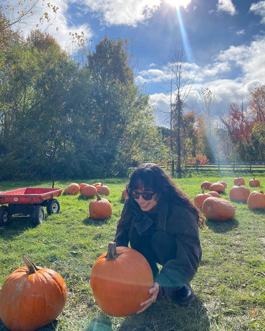 ベイカー恵利沙のインスタグラム：「We’ve got our pumpkins 🎃  今年もパンプキンピッキング🍁  アップルサイダー、アップルサイダードーナツ、 パンプキンパイ、飾り付けのパンプキンはアメリカの秋に欠かせない😌🍂🤎」