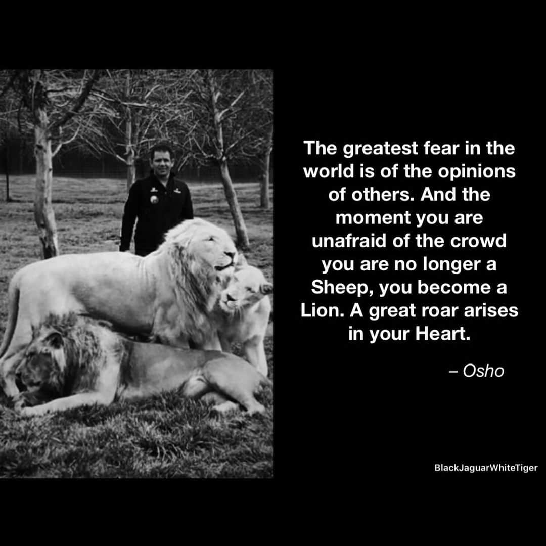 Black Jaguar-White Tiger のインスタグラム：「Have a Beautiful and Magical week…」