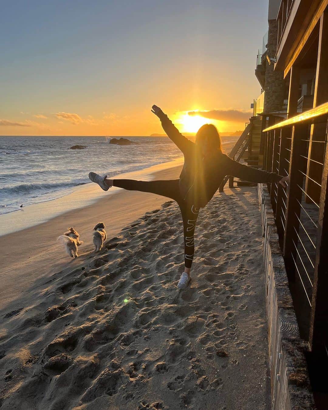 カミール・グラマーさんのインスタグラム写真 - (カミール・グラマーInstagram)「Beautiful sunset at the beach. My pups love running the beach. Even my dear 15 yr old pup Joey runs the beach like a 8 year old dog. . #malibusenset #sunset #dog #havanese #malibu #dance @kimberloo1122」10月23日 10時56分 - therealcamille