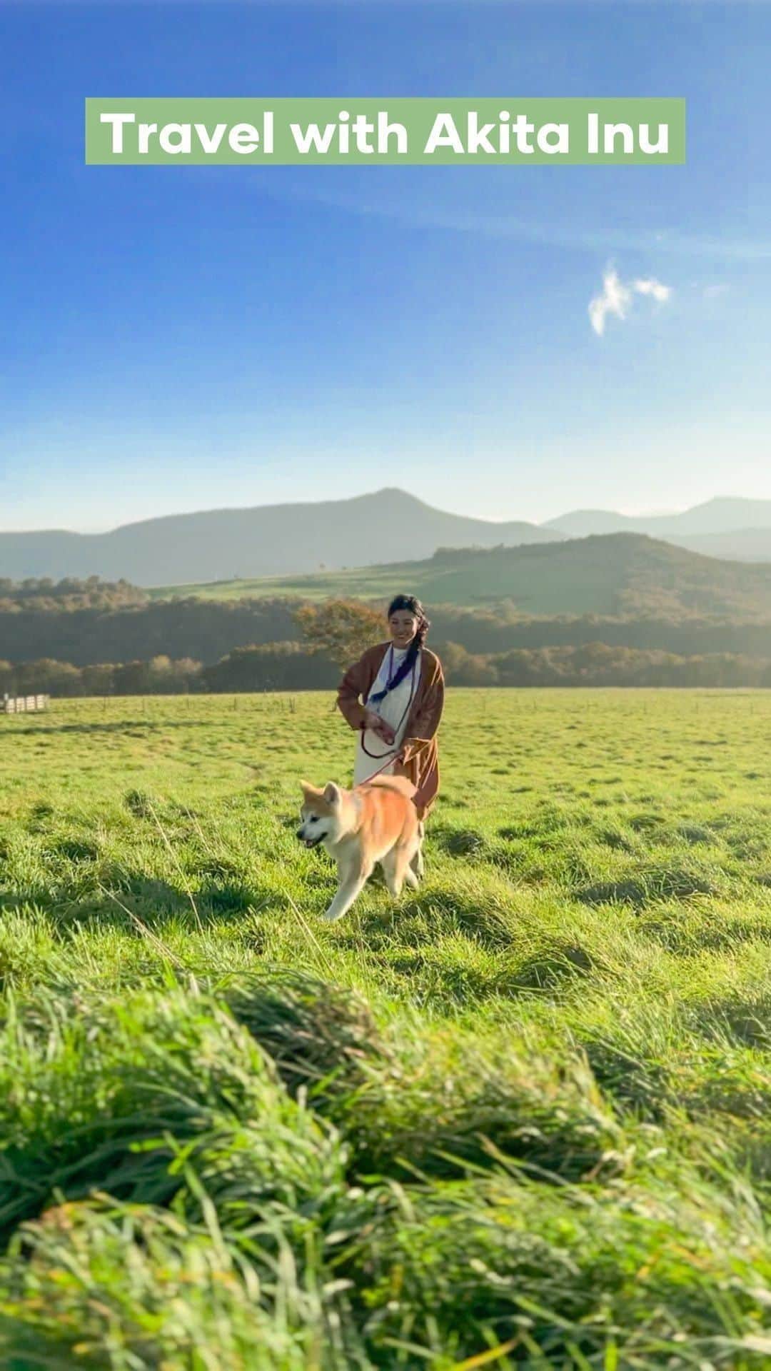 のインスタグラム：「【Travel with Akita Inu】  The northern reaches of Akita Prefecture hold a special place in my heart as a portal to experiences of the most authentic rural life of Japan.  This time, the pleasure is mine to have the companion of @mutsu_mofumofu, a 6-month old Akita Inu 🐕at his fluffiest with me as I explore the lesser known part of Akita Prefecture and part of Aomori Prefecture.  For those who share a love for Akita Inu’s charming fluffiness, be sure to follow @visitakita for your daily dose of Mutsu’s endearing adventures!  📍Akita Prefecture & Aomori Prefecture」