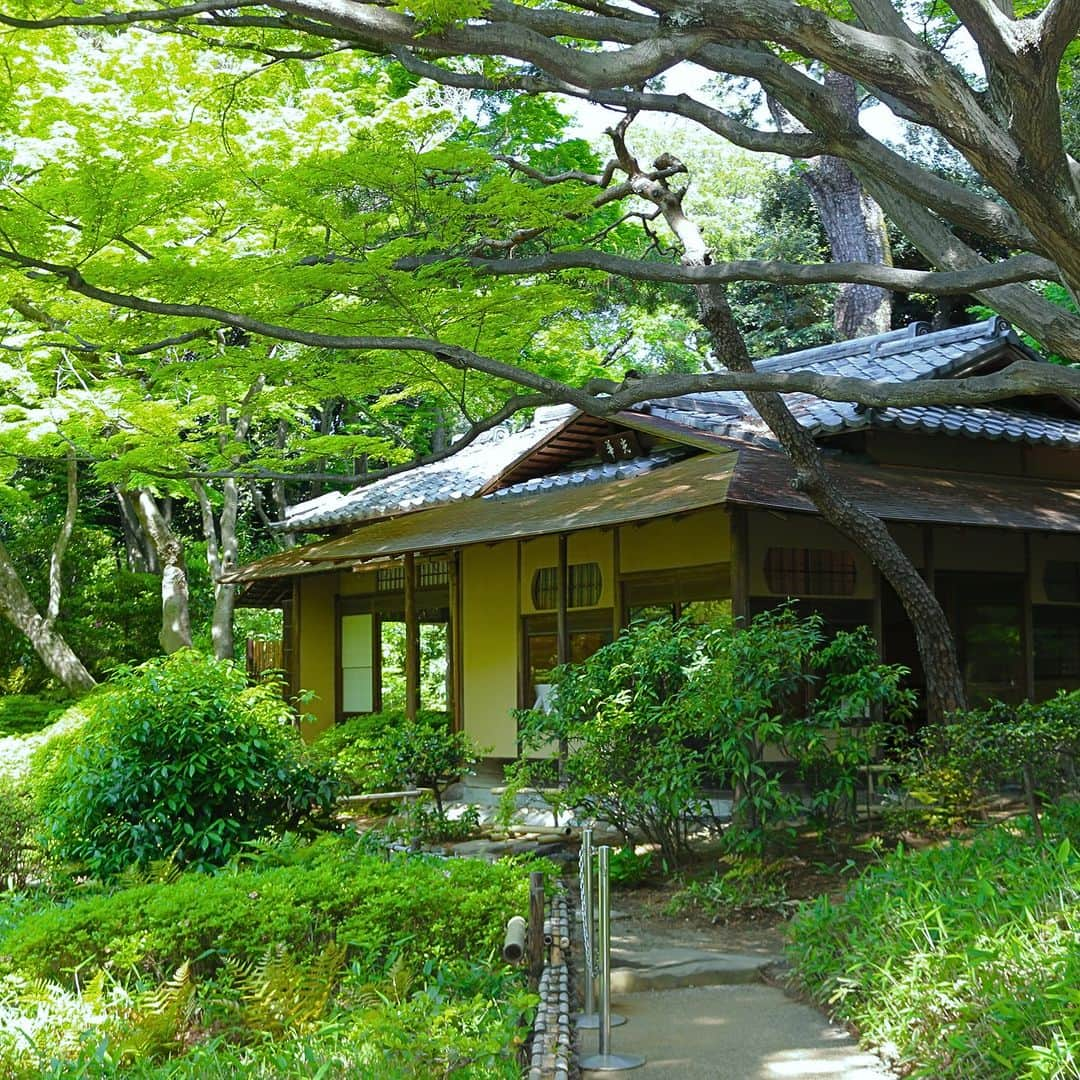 東京都庭園美術館のインスタグラム