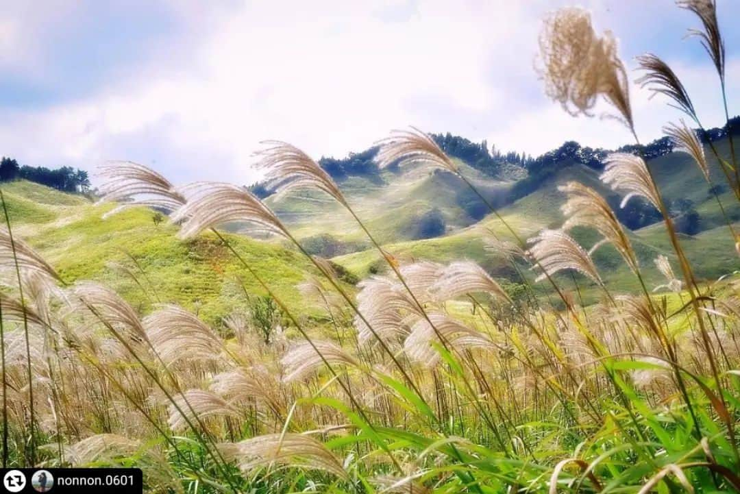 兵庫県のインスタグラム