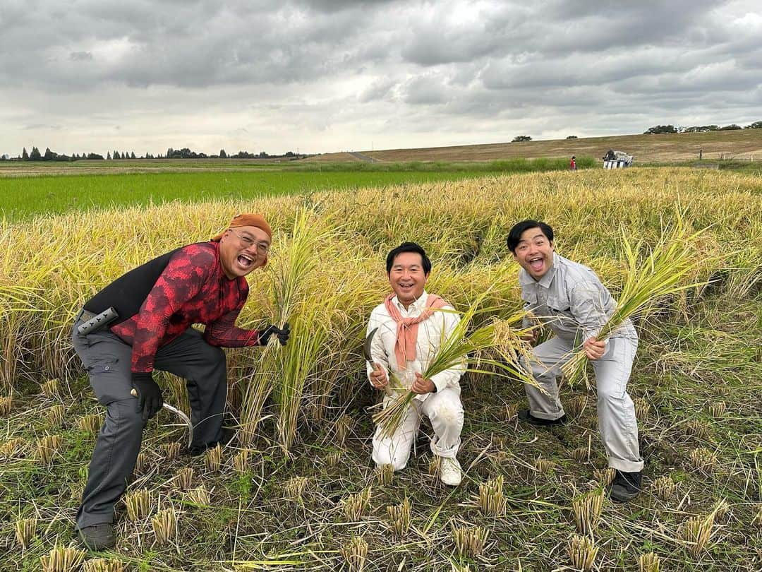 小石田純一さんのインスタグラム写真 - (小石田純一Instagram)「おしんこきゅうと稲刈りをしました。詳しくはYouTube「小石田Jチャンネル」をご視聴ください！  #稲刈り #米作り体験  #米作り #農業 #小石田Jチャンネル #農業YouTube #おしんこきゅう  #お笑い芸人 #漫才師 #ニュースタッフプロダクション #小石田純一 #ものまね芸人  #youtuber」10月23日 11時34分 - koishida.trendy