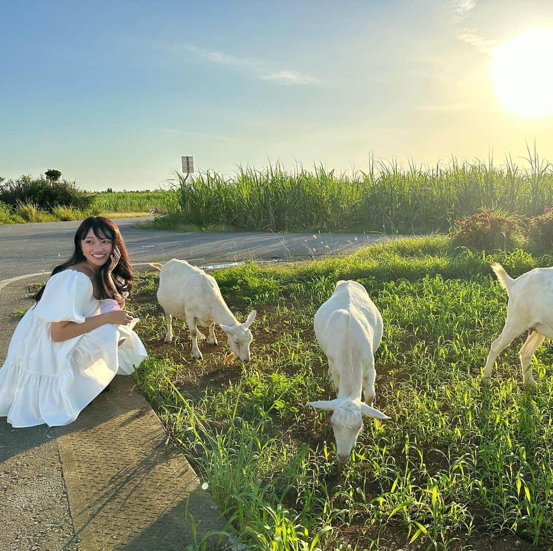 片原恵麻さんのインスタグラム写真 - (片原恵麻Instagram)「今年の夏も最っ高に楽しかったな~~~  たくさん可愛くお祝いしてもらったから感謝の気持ち込めて投稿していきます🫶 凄く嬉しかったから、お友達の誕生日サプライズ考えてる人いたら参考にしてもらいたいな🤭  #誕生日サプライズ#バースデーサプライズ#誕生日プレゼント#誕生日飾り付け#誕生日会#バースデーフォト#バースデーパーティー」10月23日 17時19分 - emma_katahara