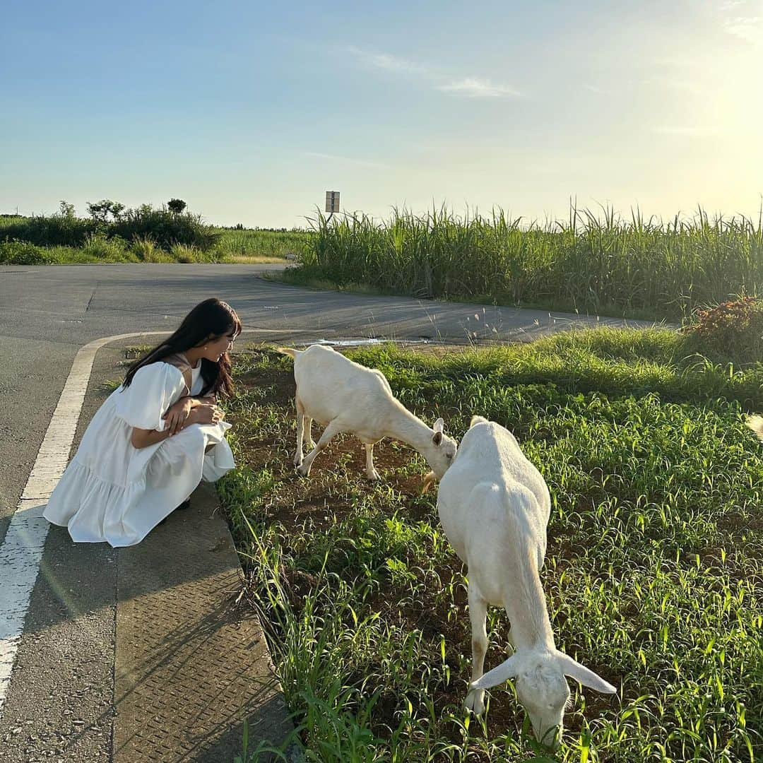 片原恵麻さんのインスタグラム写真 - (片原恵麻Instagram)「今年の夏も最っ高に楽しかったな~~~  たくさん可愛くお祝いしてもらったから感謝の気持ち込めて投稿していきます🫶 凄く嬉しかったから、お友達の誕生日サプライズ考えてる人いたら参考にしてもらいたいな🤭  #誕生日サプライズ#バースデーサプライズ#誕生日プレゼント#誕生日飾り付け#誕生日会#バースデーフォト#バースデーパーティー」10月23日 17時19分 - emma_katahara