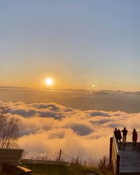 ?長野県 観光 公式インスタグラム のインスタグラム：「// Movie by @chi__e03  幻想的な光景 「SORA terrace」　 ＠山ノ内町   166人乗りの大型ロープウェイで、 絶景の雲海スポット「SORA Terrace」  条件が合えば雲海が発生し、 美しいサンセットを目線の先で見ることも出来ます💕  「SORA terrace cafe」ではドリンクメニューが充実🍹 雲の動きを眺めながら至福のひとときを すごしてみてはいかが？😀✨️  ＝＝＝＝＝＝＝＝＝  Sora Terrace (Yamanouchi Town)  Take the 166-person Ryuoo Ropeway to the Sora Terrace and enjoy spectacular scenery above the clouds.  If the conditions are right, the entire valley below will be covered in a sea of clouds, and you can watch the sun slowly sink behind them.  The Sora Terrace café offers a variety of drinks to enjoy while taking in the scenery.  ＿＿＿＿＿＿＿＿＿　  Location / Yamanouchi Town , Nagano , Japan   #おうちでながの #長野のいいところ #soraterrace #山ノ内町  ＿＿＿＿＿＿＿＿＿  🍁インスタアワード秋冬⛄作品募集中📷  #長野の列車旅秋冬 撮影場所(長野県内に限ります) をキャプションに入れて 応募期間（10/16～1/31）に投稿してください。 優秀作品に選ばれると 長野県特産品セットをプレゼント🎁」