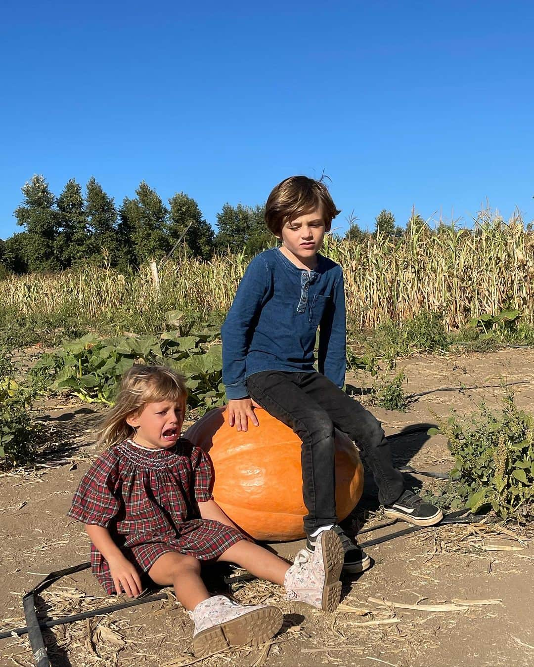 レイア・ゴールドクールさんのインスタグラム写真 - (レイア・ゴールドクールInstagram)「Taking pictures with pumpkins and suffering the whole way in the name of creating memories is what parents do in America 🇺🇸」10月23日 11時48分 - leilss4reals