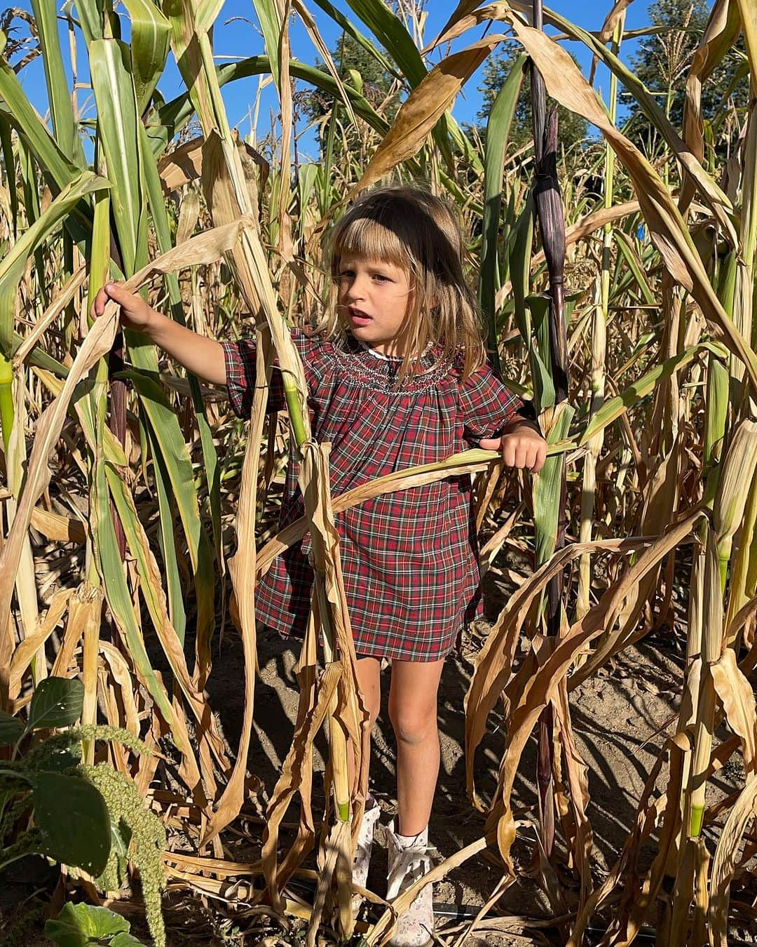 レイア・ゴールドクールさんのインスタグラム写真 - (レイア・ゴールドクールInstagram)「Taking pictures with pumpkins and suffering the whole way in the name of creating memories is what parents do in America 🇺🇸」10月23日 11時48分 - leilss4reals