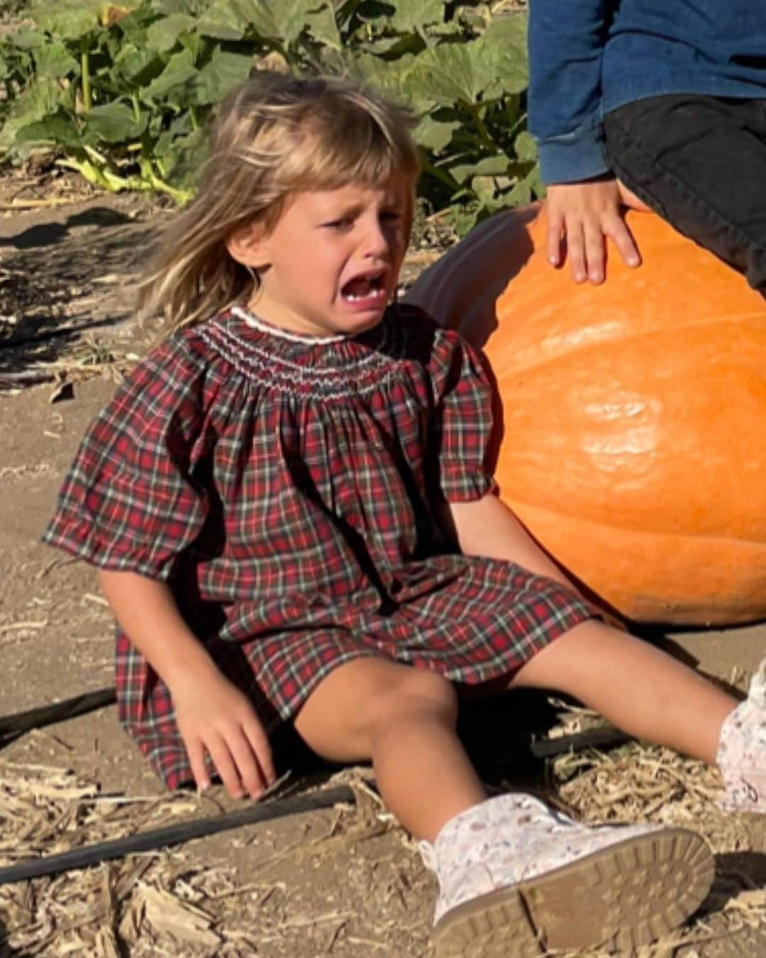 レイア・ゴールドクールさんのインスタグラム写真 - (レイア・ゴールドクールInstagram)「Taking pictures with pumpkins and suffering the whole way in the name of creating memories is what parents do in America 🇺🇸」10月23日 11時48分 - leilss4reals