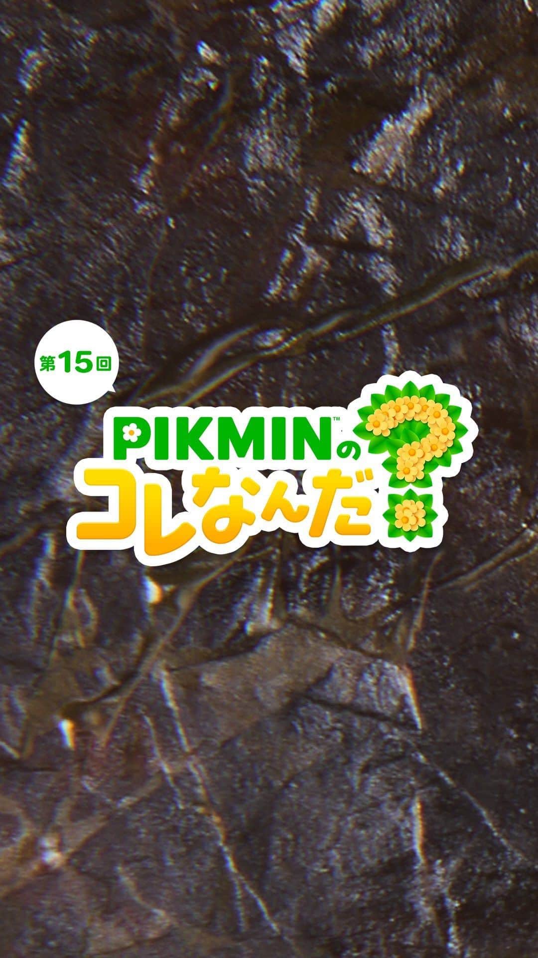 任天堂のインスタグラム：「「PIKMINのコレなんだ？」第15回  ピクミンたちが見つけたものはなんでしょう？  #ピクミン #pikmin #これなんだ #NintendoSwitch #Nintendo #任天堂」