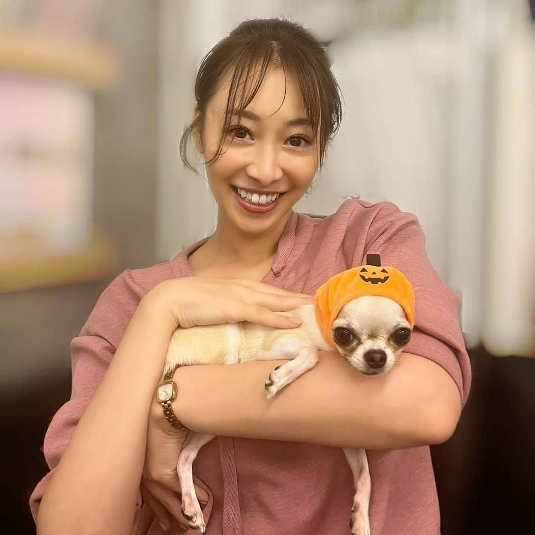 中村果生莉さんのインスタグラム写真 - (中村果生莉Instagram)「🐕  身体のメンテナンス行くと迎えてくれる看板犬、ビアちゃん❣️  今月はビアさん、パンプキンになってたから記念に🎃📸  どうやら来月はラッパーになってるらしい…😎  お豆みたいに小さくて可愛いんだーー👽♡  ビアビア、いつも癒しをありがとう(◦ˉ ˘ ˉ◦) . . . #メンタルトレーナー #メンタルトレーニング #メンタル #mental #care」10月23日 12時25分 - kaori.nakamura_0226