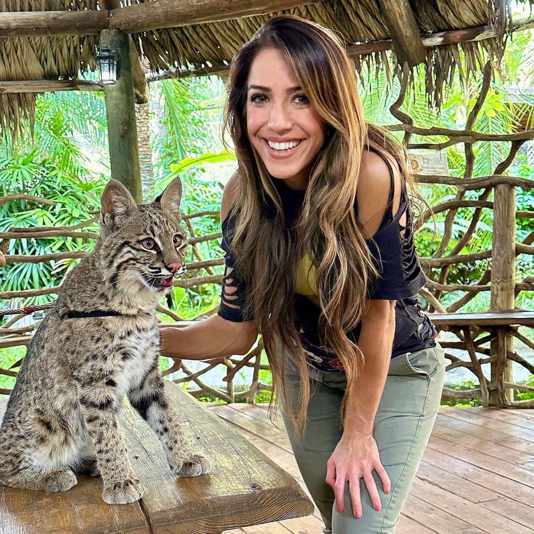 Zoological Wildlife Foundationのインスタグラム：「Meet Salem, 6 mths old baby bobcat. 🤍It's a connection to nature, a testament to trust and rare bonding, and an opportunity for awe and wonder, all rolled into one unique and special moment.   💨Take a ride off the beaten path into the wildlife of South Florida - 🐒here in Miami!  Thank you @southfloridaoffroadtours_ @zwfmiami @mariowildlife @mattdillon1983」