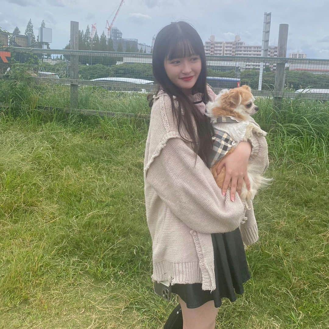 佐藤妃星さんのインスタグラム写真 - (佐藤妃星Instagram)「🐶🐶🐶  #佐藤妃星 #愛犬 #ドッグラン #チワワ #dog #dogrun #🐶」10月23日 13時22分 - 8iikiichan