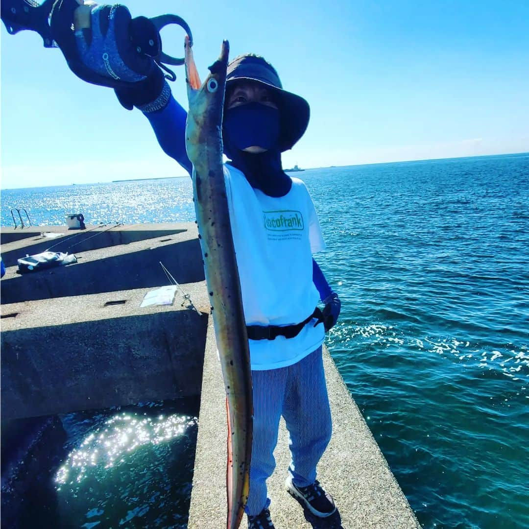 サトシさんのインスタグラム写真 - (サトシInstagram)「今回もたくさん釣れました🐟⁡ ⁡朝マズメにお仲間がノマセとルアーでメジロをゲット！⁡ ⁡サトシは、、アタリはあるのに掛からず😢⁡ ⁡⁡ ⁡その後ヒットして竿先が入る程の掛かりやったから青物や！と思ったら大きめのエソが、ヌーっと上がってきました。⁡ ⁡⁡ ⁡もうエソ部長です。⁡ ⁡⁡ チャンスらしいチャンスは朝だけですねぇ。⁡ ⁡⁡ ⁡今日も楽しかった✨⁡ ⁡⁡ ⁡#ほんわか釣り倶楽部 #ショアジギング #青物 #釣り #南港 #釣りガール  #メジャークラフト #愛媛釣り #タコ #夢フィッシング #新波止 #ヤザワ渡船」10月23日 13時18分 - satoshi_honwaka