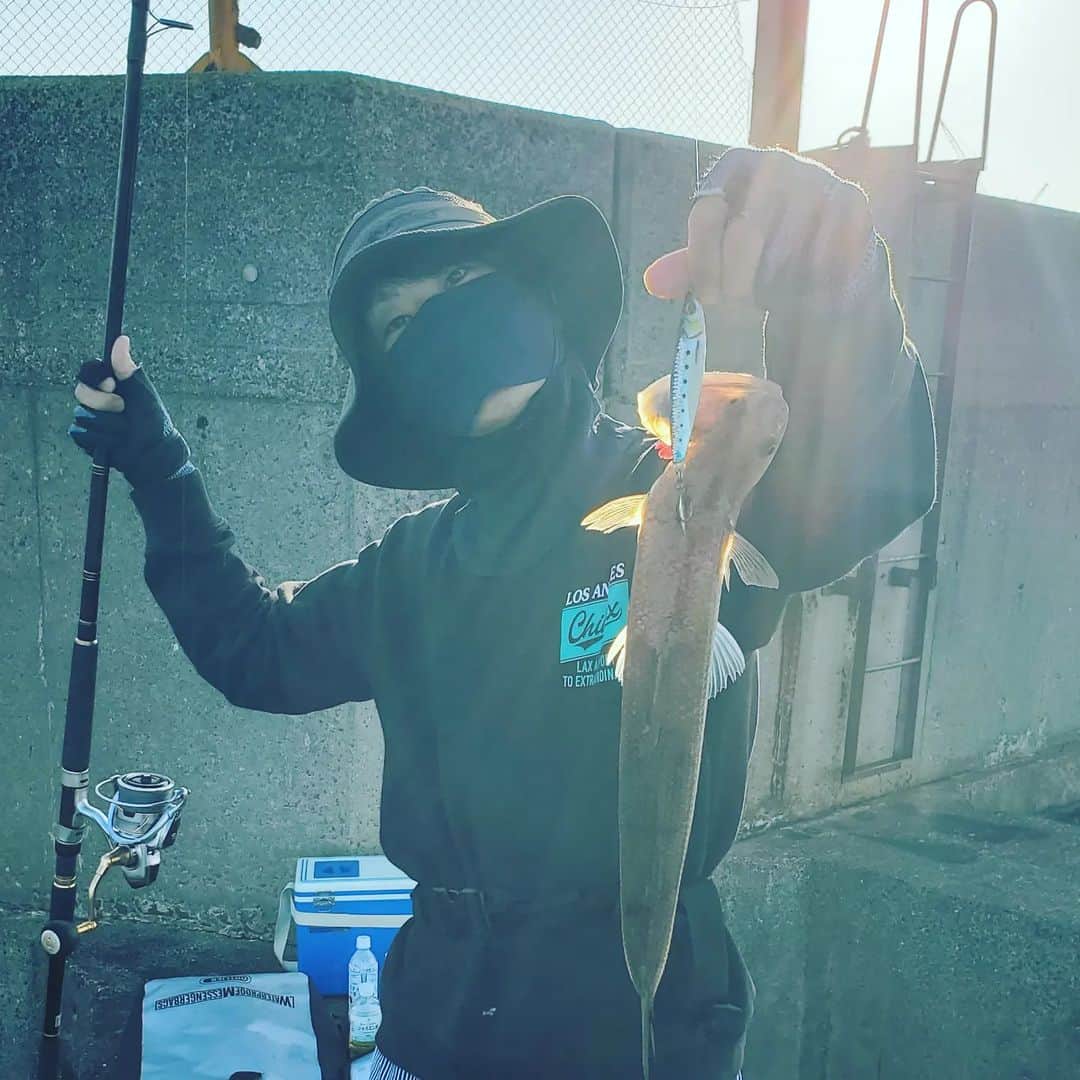 サトシさんのインスタグラム写真 - (サトシInstagram)「今回もたくさん釣れました🐟⁡ ⁡朝マズメにお仲間がノマセとルアーでメジロをゲット！⁡ ⁡サトシは、、アタリはあるのに掛からず😢⁡ ⁡⁡ ⁡その後ヒットして竿先が入る程の掛かりやったから青物や！と思ったら大きめのエソが、ヌーっと上がってきました。⁡ ⁡⁡ ⁡もうエソ部長です。⁡ ⁡⁡ チャンスらしいチャンスは朝だけですねぇ。⁡ ⁡⁡ ⁡今日も楽しかった✨⁡ ⁡⁡ ⁡#ほんわか釣り倶楽部 #ショアジギング #青物 #釣り #南港 #釣りガール  #メジャークラフト #愛媛釣り #タコ #夢フィッシング #新波止 #ヤザワ渡船」10月23日 13時18分 - satoshi_honwaka