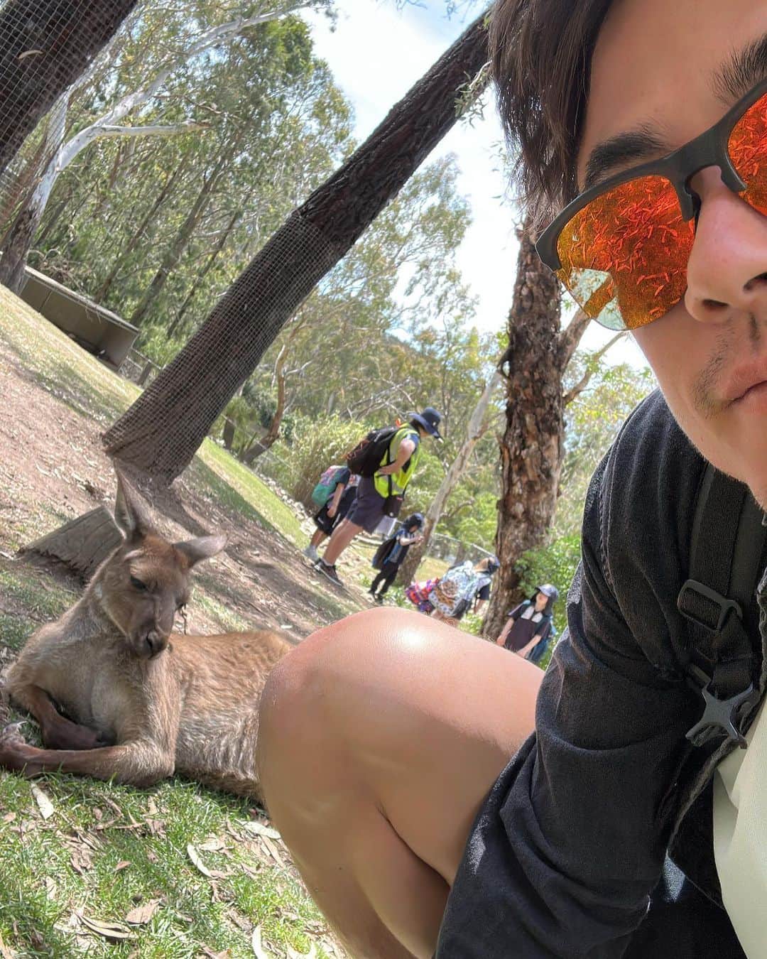 ダニエル太郎さんのインスタグラム写真 - (ダニエル太郎Instagram)「😍 what an afternoon in a wildlife park here in Adelaide #koala #kangaroo #wallabee #birds #bats  2千円前後でこのバリューは嬉しすぎる😍　色んな動物と触れあえるし場所も散歩してるだけで落ち着く公園みたいで最高なお昼でした。今週からのPlayford チャレンジャー頑張ります！」10月23日 14時24分 - tarodaniel