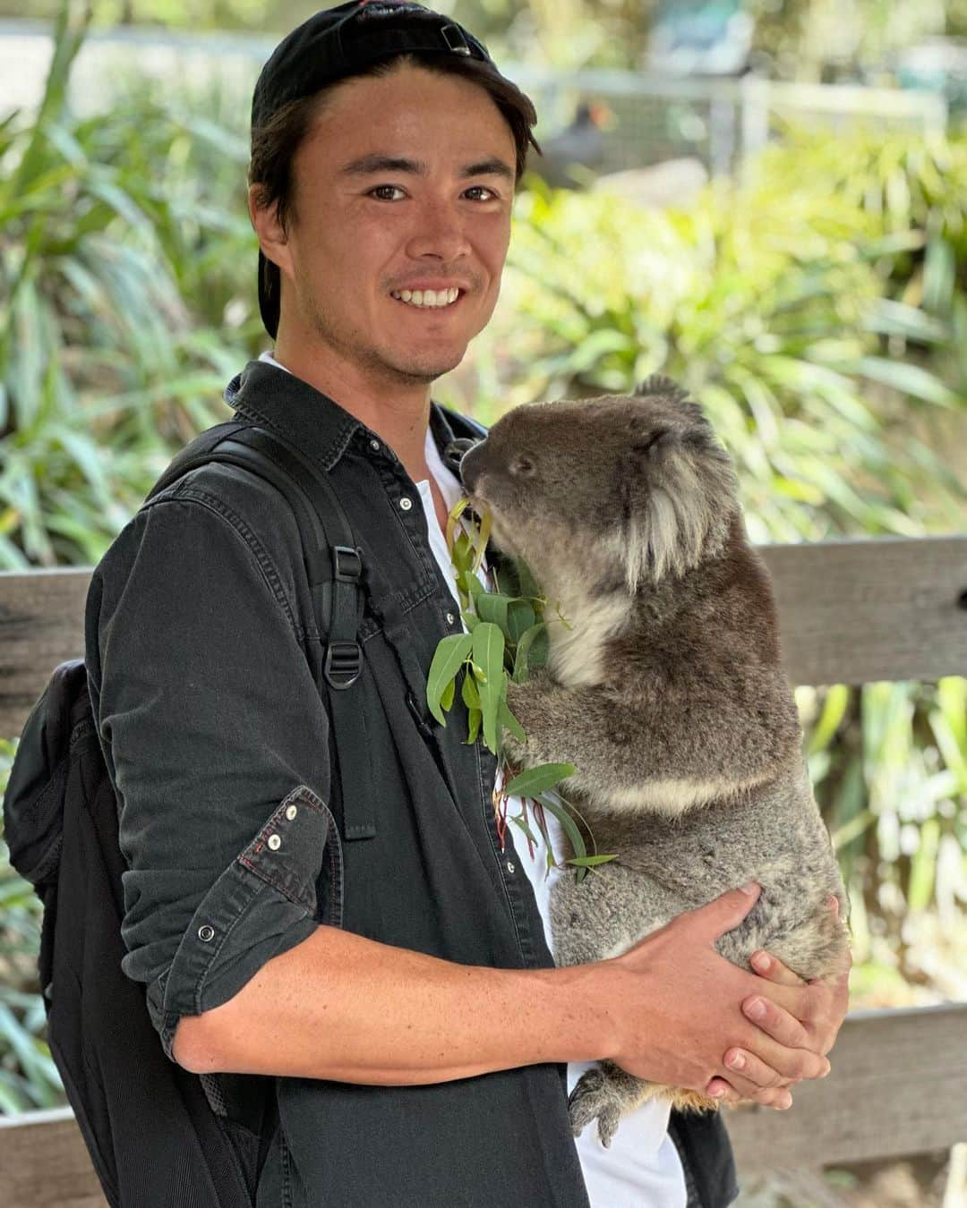 ダニエル太郎のインスタグラム：「😍 what an afternoon in a wildlife park here in Adelaide #koala #kangaroo #wallabee #birds #bats  2千円前後でこのバリューは嬉しすぎる😍　色んな動物と触れあえるし場所も散歩してるだけで落ち着く公園みたいで最高なお昼でした。今週からのPlayford チャレンジャー頑張ります！」