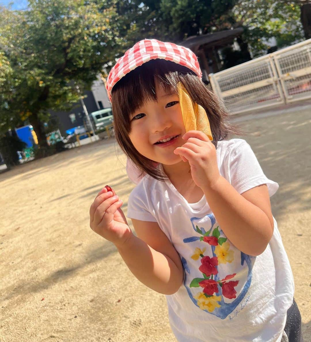 みゆきっこつばめ保育園・そら保育園のインスタグラム：「． 『秋みーつけた！🍁』（つばめ・りす組） 10月23日（月） 　色づく木の葉に、地面に重なる落ち葉や木の実。季節はもうすっかり秋ですね。 気温も落ち着き過ごしやすい気候になったので、みんなで秋を探しに行って来ました！ 公園に落ちていた赤色や黒色の木の実を拾って「“み“あったよ！」と見せてくれたり、大切そうにずっと持っている子もいました。パリパリした落ち葉の感触を楽しんだり、両手に持って可愛いポーズをしてくれる子もいましたよ♡ 　そして、阪急電車の周りをお散歩していると猫じゃらしがたくさん生えているのも見つけました！手に持って振ってみたり、ふわふわな毛を触って「こしょばいね〜」と笑っている姿も見られ、とても可愛かったです♡  　秋ならではの自然をたくさん感じながらこれからも子どもたちとお散歩や公園でたくさん遊んでいきたいと思います！」