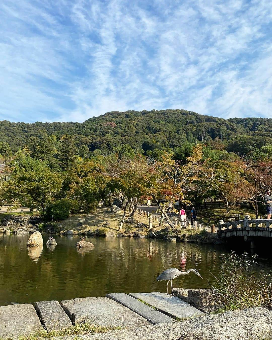 Lisa Halimさんのインスタグラム写真 - (Lisa HalimInstagram)「Kyoto🌾 10枚じゃ載せきれない。 一人で旅するたびに、 一人ではないのだなぁと実感します。 あと、カメラ買おう。  #kyoto」10月23日 14時31分 - lisahalim