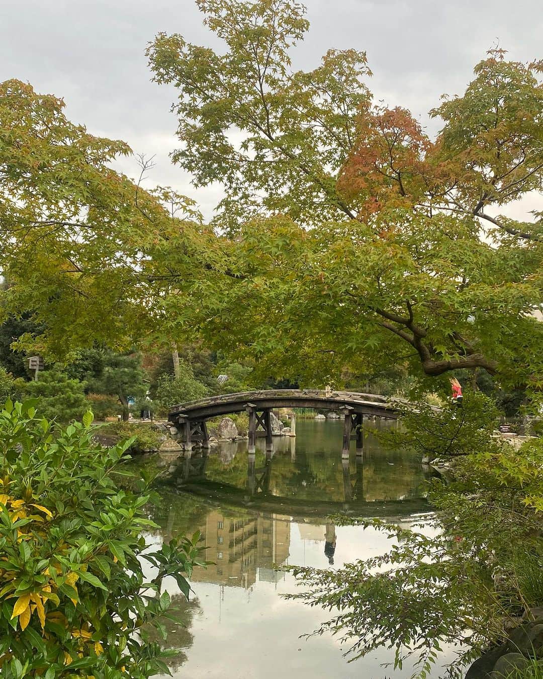 Lisa Halimさんのインスタグラム写真 - (Lisa HalimInstagram)「Kyoto🌾 10枚じゃ載せきれない。 一人で旅するたびに、 一人ではないのだなぁと実感します。 あと、カメラ買おう。  #kyoto」10月23日 14時31分 - lisahalim