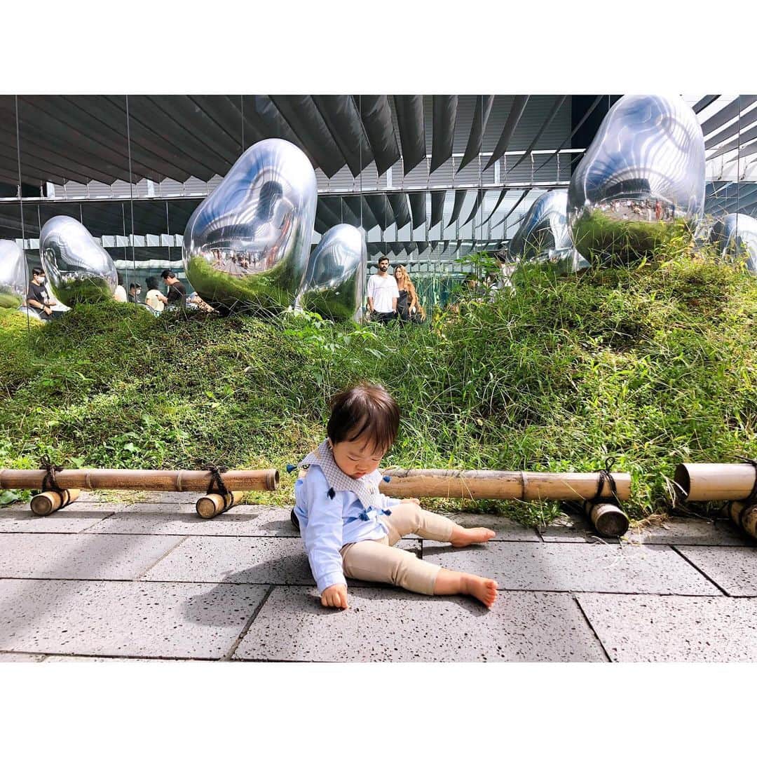 遠藤朋美さんのインスタグラム写真 - (遠藤朋美Instagram)「ここは、やっぱり、最高でした  ドディです、こんにちは  久しぶりにチームラボ豊洲様を訪れさせていただきました。  中西さんが誕生する前、大西さんと 何度も行ったチームラボ。  中西さん誕生後、バタバタしていたり 2人連れて行くのがなかなか大変だなぁ、と思い なかなか時間を見つけられずにいましたが やはり行きたい。 中西さんにもあの素敵な世界につれて行ってみたい。 中西さんがどんな反応するのか知りたい。 と思い 平日ちょっと心苦しながら大西さん保育園通学中に チームラボへ伺うことにしました。  久しぶりに行くチームラボですが 海外旅行者でいっっぱいで 衝撃でした。  海外へ来たかのようで 日本の方はさっと見回してみて50歳〜60歳くらいのおじさん〜おじいさんの二人組しかおらずでした。  さっそく靴下を脱いで流れる水で足を清めていきます。  相変わらずの、最初にしっかり足洗浄されるスタンスは とても良いです。  そして旅行者の方々が、中西さんといっしょだと 話しかけてくれるのでより楽しいです。  足を拭くところにて 「オーバーゼア」とかなんとか言ってさっと席をさっと譲ってくださる紳士なイギリス人っぽい旅行者と出会い あぁ ドディは日本の男性がそりゃ恋愛対象でばかりありましたが レディーファーストみたいな文化をもつお国の方々ってやはり素敵だなぁ。とか 思いつつ  この間も中西さんと階段前で佇んでいたら 旅行者の方がベビーカー運んでくれたことを思い出し  あ、いやでもバス乗ってると8割方誰かにベビーカー下ろすの手伝っていただいてるなぁとか思ったり  あぁ、世間って意外と明るいなぁ。 と、なんだか心がほっこりの連鎖が起きました。  はい、さっそく話が中断したので進みます。  進むとキラキラの照明ゾーンへ。  照明に手を伸ばす中西さん。  これこれ、こうゆう反応待っていました。  鏡に降りるのを気持ち嫌がっていましたが 色々なものに興味津々で とても楽しそうにしています。  中西さんお気に入りの場所はラストのお外の銀色のオブジェの置いてある作品部屋とお花のところでした。  落ちている葉っぱを拾ったり、お花を拾ったり とても楽しそうです。  そんなこんなでいつもお出かけすると大西さん優先ばかりしてしまいますが たまには中西さんの日、 きっと楽しんでくれた気がします。  大西さんもでしたが、チームラボに行くと刺激が入るためか 次の日くらいから語彙力が急に上がる気がします。  そんな子連れチームラバー、いらっしゃいます？かね？？  そんなこんなです。  PR @teamlab.planets #チームラボ #デートスポット #東京観光 #東京旅行 #teamlab #teamlabplanets #チームラボプラネッツ #豊洲  ◎ランニング日記◎  先週の記録をのせてしまいますが、 久しぶりに、久しぶりに、久しぶりに13km走りました。  とても嬉しかったです。  ドディはハーフマラソンにあまり出場したことがないため 何をしたら良いかいまいち不明、ということで フルマラソンの半分くらいの練習をしています。  そんなこんなで15kmのペース走しよう。 と思いつきました。  走っている途中でお昼寝から大西さん中西さんが起床したため途中で帰ることになりましたが、 とりあえず13.5kmはなんとかなりました。  9km過ぎたあたりから1km5:30きれて走れており 少しずつ足がつくられてきているんだなぁ。と、実感、嬉しいです。  ただ、あと8kmもつかと言われるとそれは不明です。  いや、でも、満足。満足です。  大会まであと1ヶ月きりましたが 楽#ドディ　#世界を走れドディ #ランニング女子 #ランニング  #マラソン #running #Marathon  #走るの好きな人と繋がりたい #宮古島　#宮古島ハーフマラソン #子連れ旅　#子育てママ #子育てママと繋がりたい」10月23日 14時44分 - aristocatsthe817