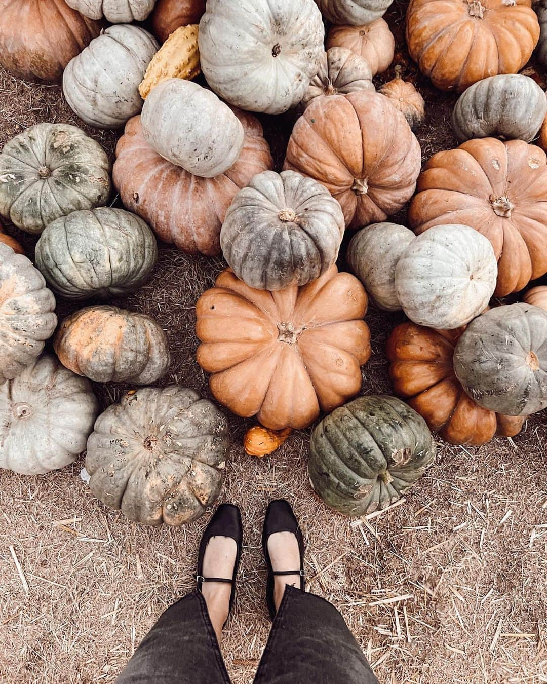 ケリー・マレーさんのインスタグラム写真 - (ケリー・マレーInstagram)「I’ve posted like 10 times all year but here i am with 2 in one day because i love a good pumpkin patch…+ all of these people 🫶🏻」10月23日 15時14分 - kelli_murray