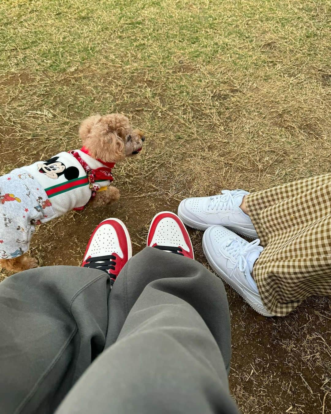 ヤスタケさんのインスタグラム写真 - (ヤスタケInstagram)「👟🐾 Family‘s feet✨」10月23日 15時20分 - yasutagram0316