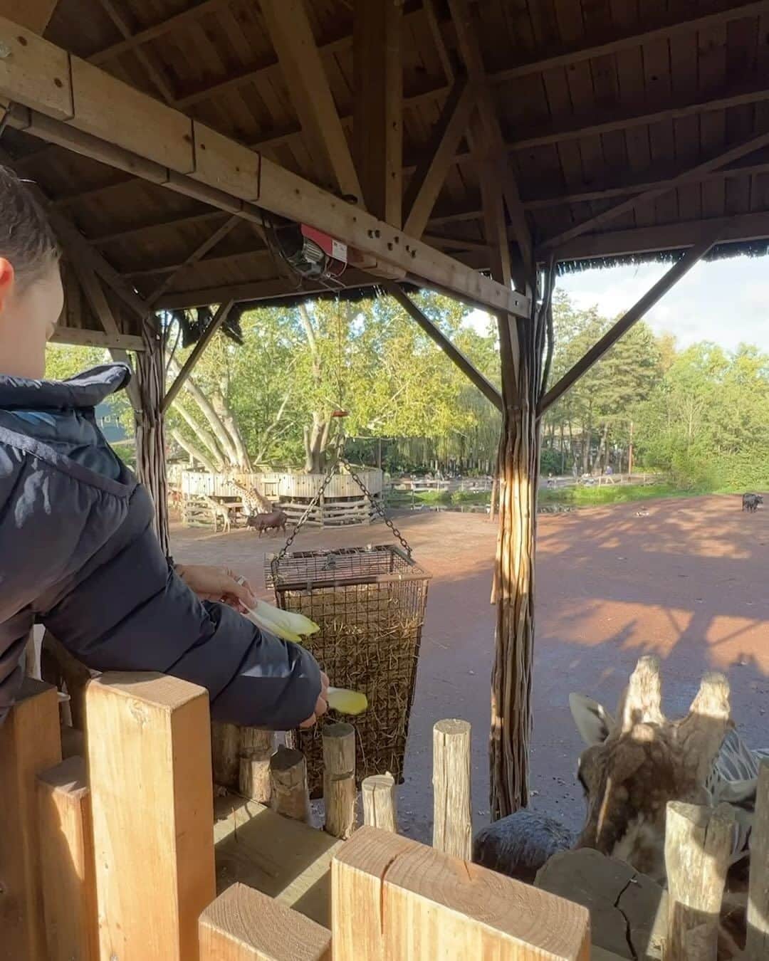 エム・ポコラのインスタグラム：「24h à @pairidaizaofficial . Magnifique expérience en famille.  Comme vous le savez les enfants sont fous des animaux… Ils étaient au paradis. La cerise sur le gâteau était la chambre avec vue sur les ours bruns. Merci @pairidaizaofficial pour cet accueil et votre bienveillance. Meilleur parc zoologique d’Europe. On reviendra! 🙏🏼🫶🏼」