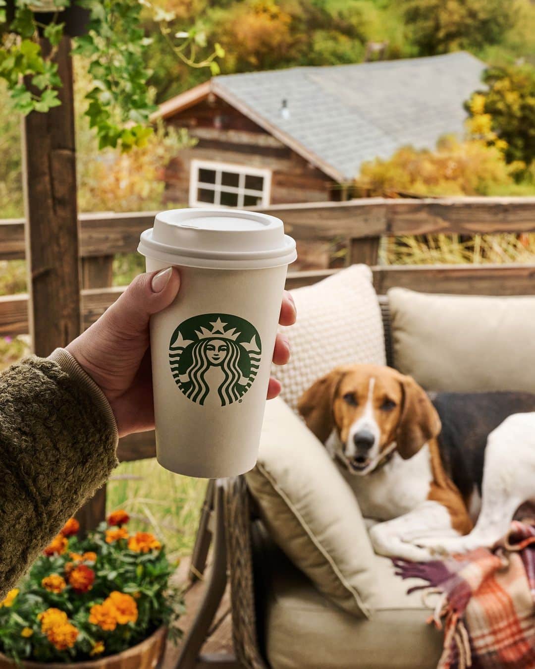 Starbucksのインスタグラム：「Fur all the fall feels.❣️Apple Crisp Macchiato」