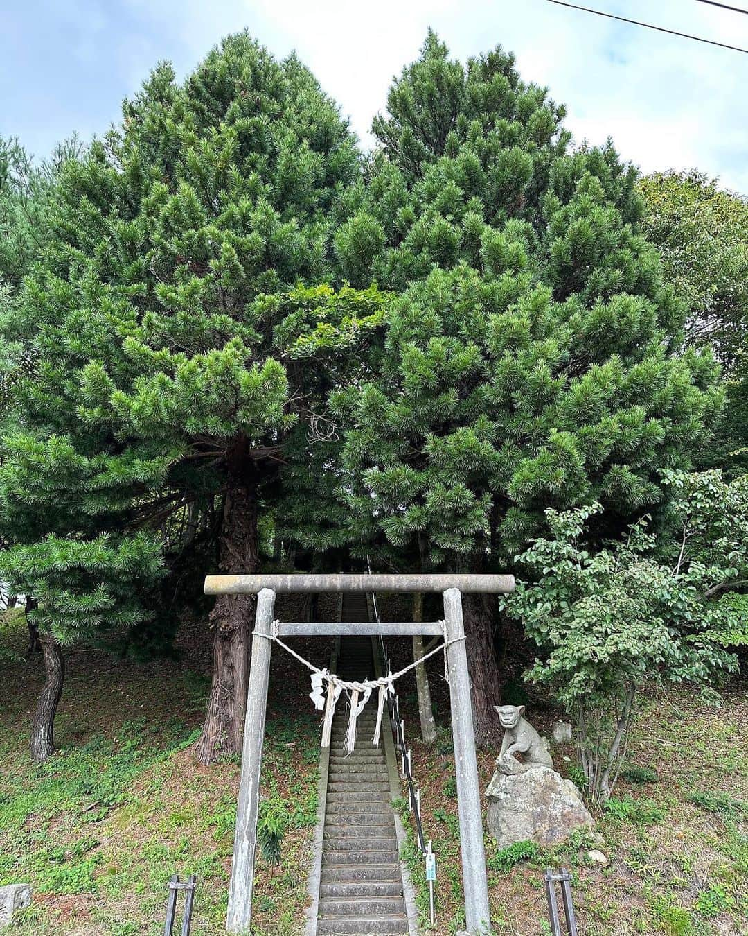 あやか（石山彩花）さんのインスタグラム写真 - (あやか（石山彩花）Instagram)「那須旅行🍆⛳️  あいちゃんとほぼ寝てた旅行した🤣楽しかったなぁー！！ またいこーね❤️‍🔥🙌  仕事も一緒で家も近くてよく会いますね🤣🙌  @dragonclub_omiya  #このタッグは延長せざるを得ない」10月24日 1時56分 - ayakateen821