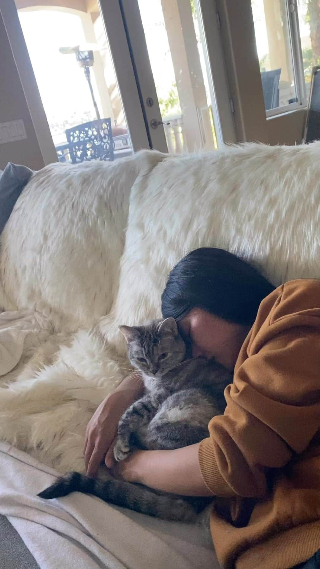 nala_catのインスタグラム：「Blood results are in! ❤️ Nala’s blood looks great so we will be moving forward with her dental surgery tomorrow. Would you please keep our cutie pie in your thoughts and prayers? Thank you so much for your love and friendship! ❤️」