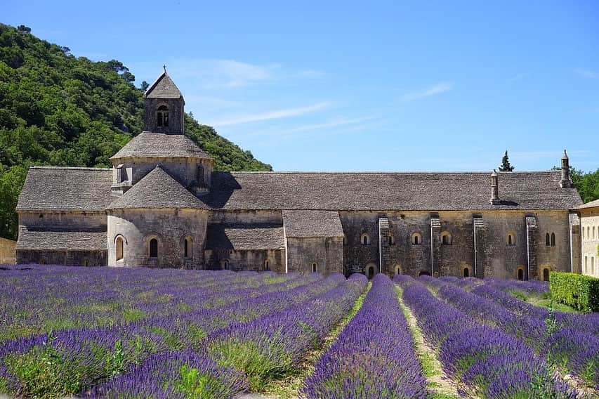 フランス大使館のインスタグラム：「【フランスの風景🌄】 岩山にそびえ立つ「天空の村」とも呼ばれる #ゴルド は、教会から城に至るまで石造りの家々が並びます。  谷の中心にあるラベンダー畑に囲まれたセナンク修道院は、最も有名な遺跡の1つです。豊かな歴史と素晴らしい建築様式の修道院は現在でも修道士たちが生活しています✨」
