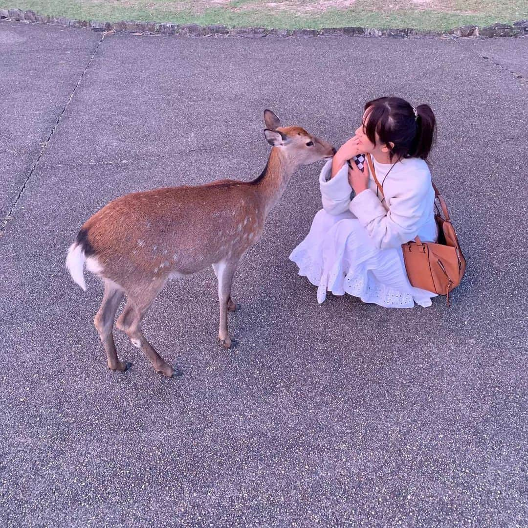 株式会社モリモトさんのインスタグラム写真 - (株式会社モリモトInstagram)「swipe ☞ ☞ ☞ モリモトが運営する、住まいと暮らしをデザインするWebメディアSUMAUにて、モデル・コラムニストとしても活躍するクリス-ウェブ佳子さん（ @tokyodame ）の連載【徒然のすゝめ】をUPしました🎗   ＊＊＊＊＊＊＊＊＊ ⁡  VOL.9 古都奈良とマンハッタンと  ⁡ ＊＊＊＊＊＊＊＊＊   記事は、@morimoto_sumau のプロフィールトップURLより💁‍♀️     #morimoto #モリモト #sumau #スマウ #徒然のすゝめ #クリスウェブ佳子 #女性 #家 #マンション #インテリア #家具  #住まい #新築マンション  #woman #women #mansion #house #designer #architecture #lifestyle #interior #modelroom #design #furniture #奈良 #Manhattan」10月23日 17時57分 - morimoto_sumau