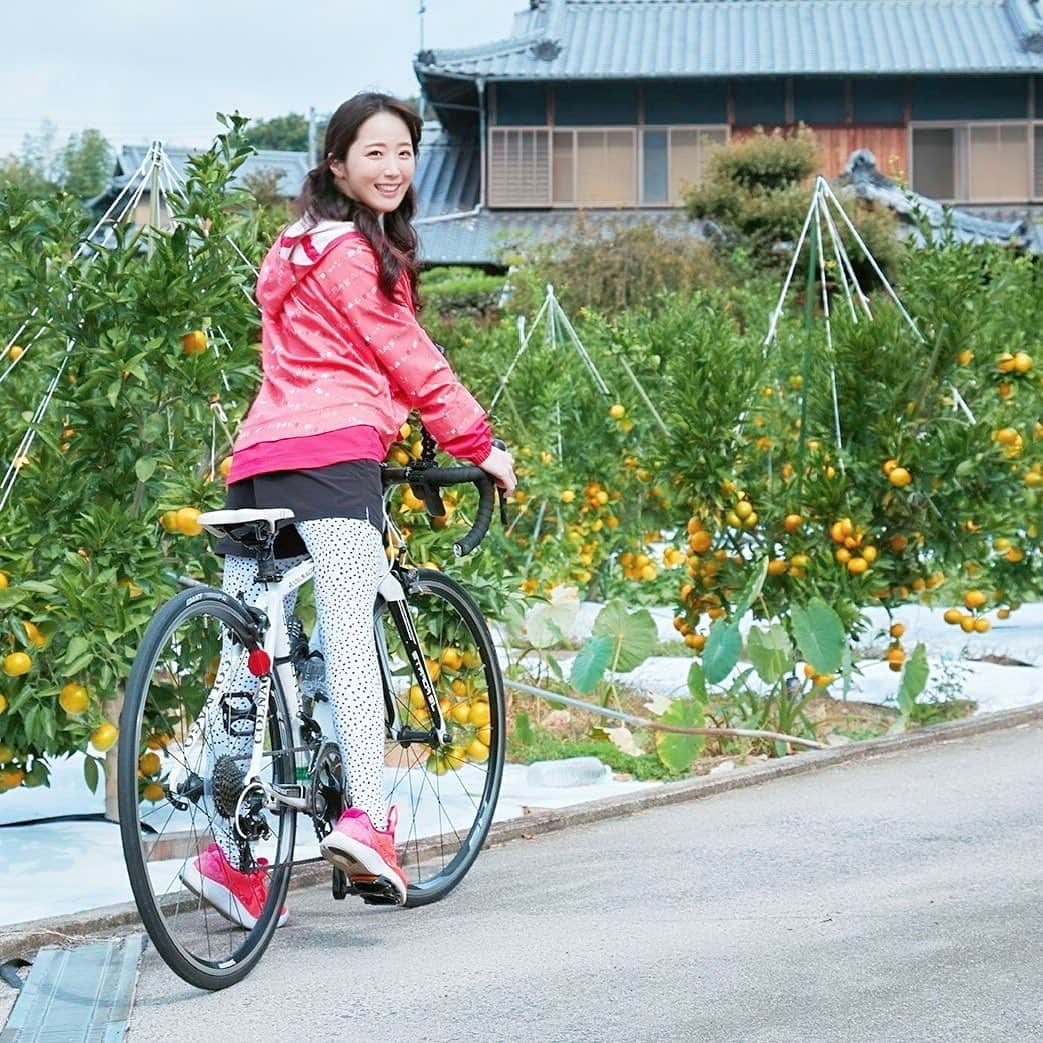 鈴木聖奈さんのインスタグラム写真 - (鈴木聖奈Instagram)「＊ しまなみ海道編♡ ＊ #しまなみ海道 #ツインテール #ショーパン #ママ #新ママ #育児 #ラジオ #ラジオパーソナリティー  #ロードバイク  #ロードバイク女子  #ロードバイク初心者  #サバゲー  #サバゲー女子 #ダイエット #アニメ #美容 #ビール女子  #ビール #ロングヘア  #ヘアアレンジ  #ヘアスタイル  #撮影  #空手 #空手女子 #bianchibikes  #bianchi  #bike  #anime #cyclist ⠀ #Japanesegirl」10月23日 18時00分 - seina.suzuki