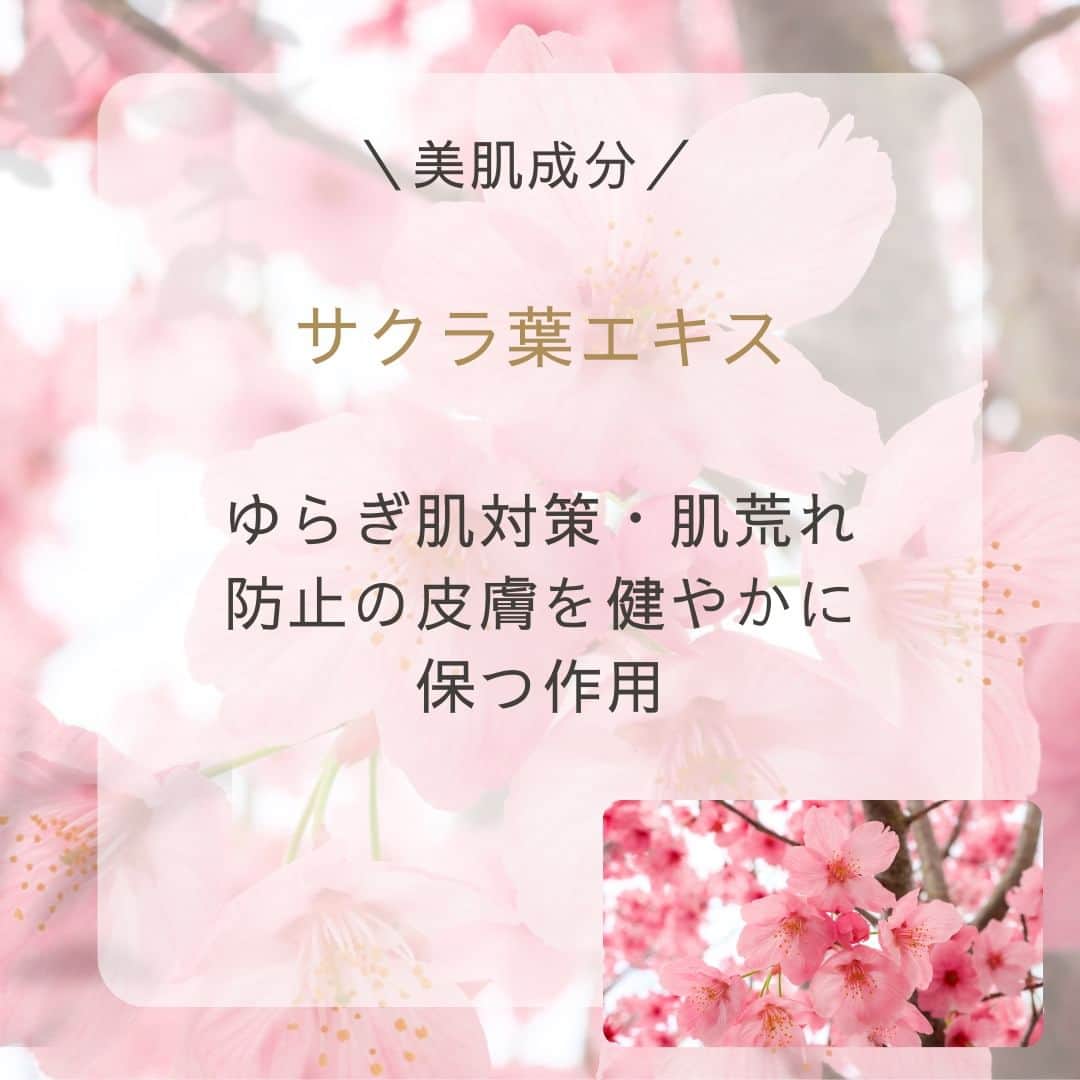 ナイトアイボーテ公式さんのインスタグラム写真 - (ナイトアイボーテ公式Instagram)「・ 贅沢な美容成分配合💕  夜に仕込んでおくことで 朝のメイクも楽です😌  🌙･･････🌙･･････🌙･･････🌙･･････🌙  #nighteyebeaute #ナイトアイボーテ #二重美容液 #寝ながら #ふたえ #二重メイク #アイメイク #アイメイク用品 #目元美人 #ぱっちり二重 #ぱっちり #垢抜け女子 #マスク美人 #目育 #美容オタク #夜ケア #おめめパッチリ  #簡単ケア  #目元美容 #印象チェンジ」10月23日 18時00分 - nighteyebeaute