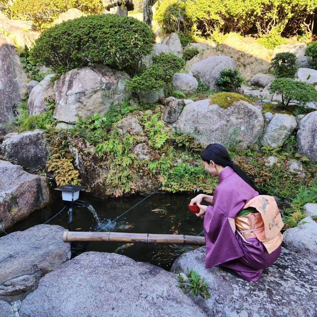 吉松育美さんのインスタグラム写真 - (吉松育美Instagram)「My daily routine💜 Feeding koi🐟🐠🐡  最近のたまーにする日課。 #鯉 のえさやり🫡最近白鷺がまた飛んできて鯉を食べようとするから困った😖💧  バディーがつかさず追いかけますが飛べないバディーはお空をみるだけ😅  #routine #life #daily #鯉 #錦鯉 #池 #데일리 #着物 #일상 #japan #👘 #きもの #kimono #和服 #着物女子」10月23日 18時05分 - ikumiyoshimatsu