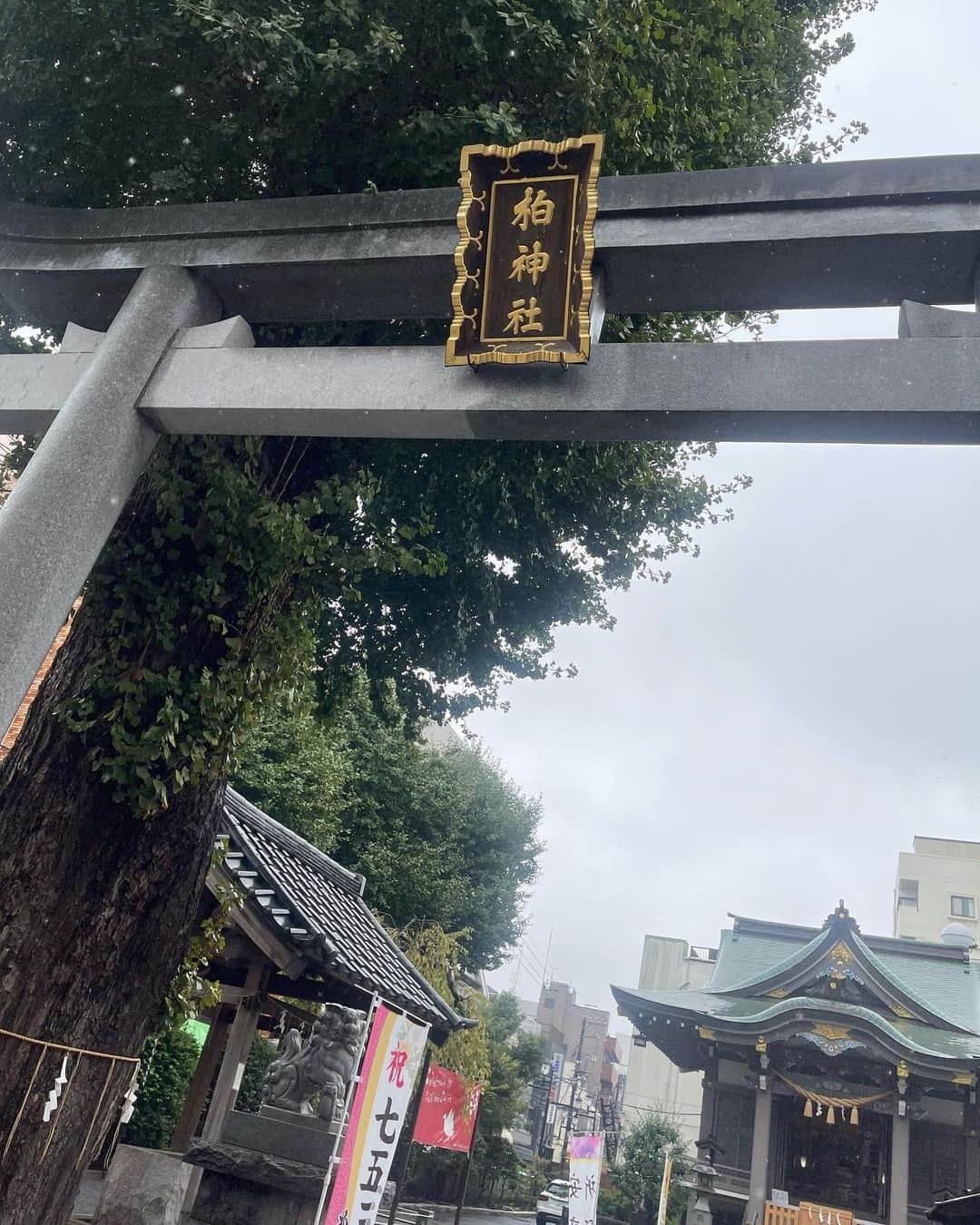 植田麻友美のインスタグラム：「千葉県にある  柏神社さん⛩  山形の「羽黒神社」  と  京都市祇園の「八坂神社」  の御祭神を祀る合祀社⛩  両神社さんの御人徳を頂ける神社さん⛩  厄除け 安産 商売繁盛 交通安全 縁結び  たくさんのご利益を頂ける有難い神社さん🙏  御朱印もたくさん種類があって  頂くのに凄く悩んでしまうくらい🤭  街中にあるのに  凄く静かで  優しい神社さんでした⛩   #柏神社  #柏神社御朱印   #柏神社で頂ける諏訪神社の御朱印   #神社巡り」