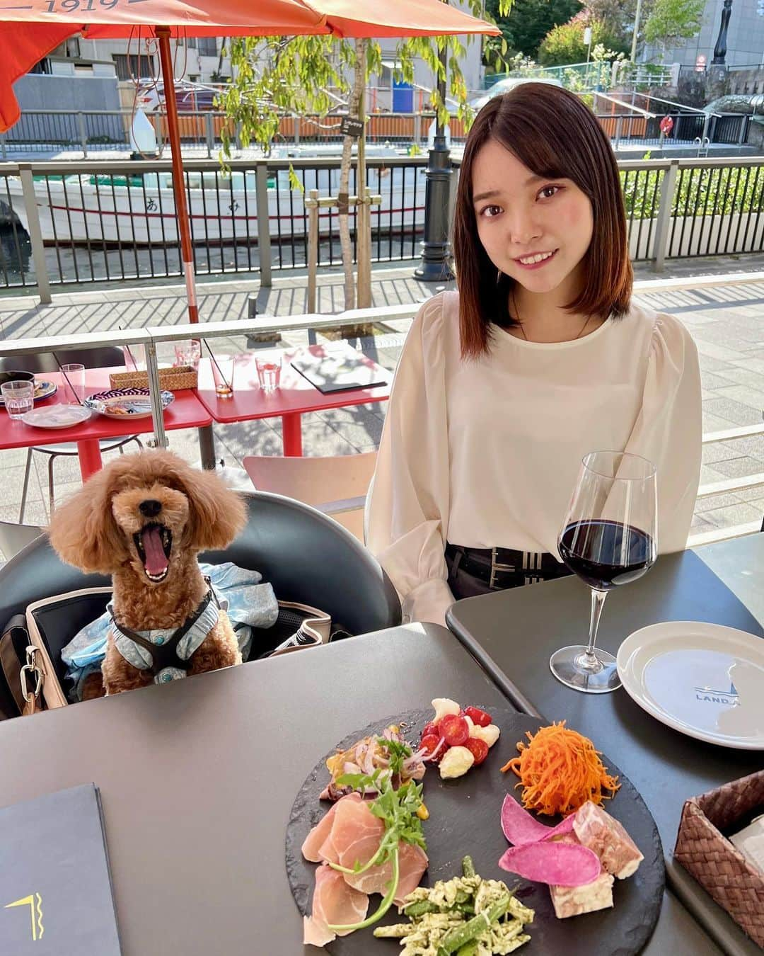 横山キラのインスタグラム：「過ごしやすい季節になってきたので、愛犬のサラとテラスランチしてきました🍽  ココ最近で、ISSHI @isshi_official  さんからモニタープレゼントで頂いたヘアミルクを使用していたのですが、髪の毛のまとまりが良くなってきていて、調子がいいです^^  これから乾燥の時期なので、パサつきやすい私にとっては重宝しそうなアイテムです︎👍🏻 ̖́-  #イッシ  #isshi #しっとりするん髪  #ヘアミルク  #ヘアケア #ホームケア  #モニター  #洗い流さないトリートメント  #ベストバイ  #bestbuy  #浅草ランチ  #押上ランチ  #ワンコとお出かけ  #テラス席  #テラス席ペットok  #テラス席ペット可  #テラス席ワンコok  #愛犬とお出かけ」