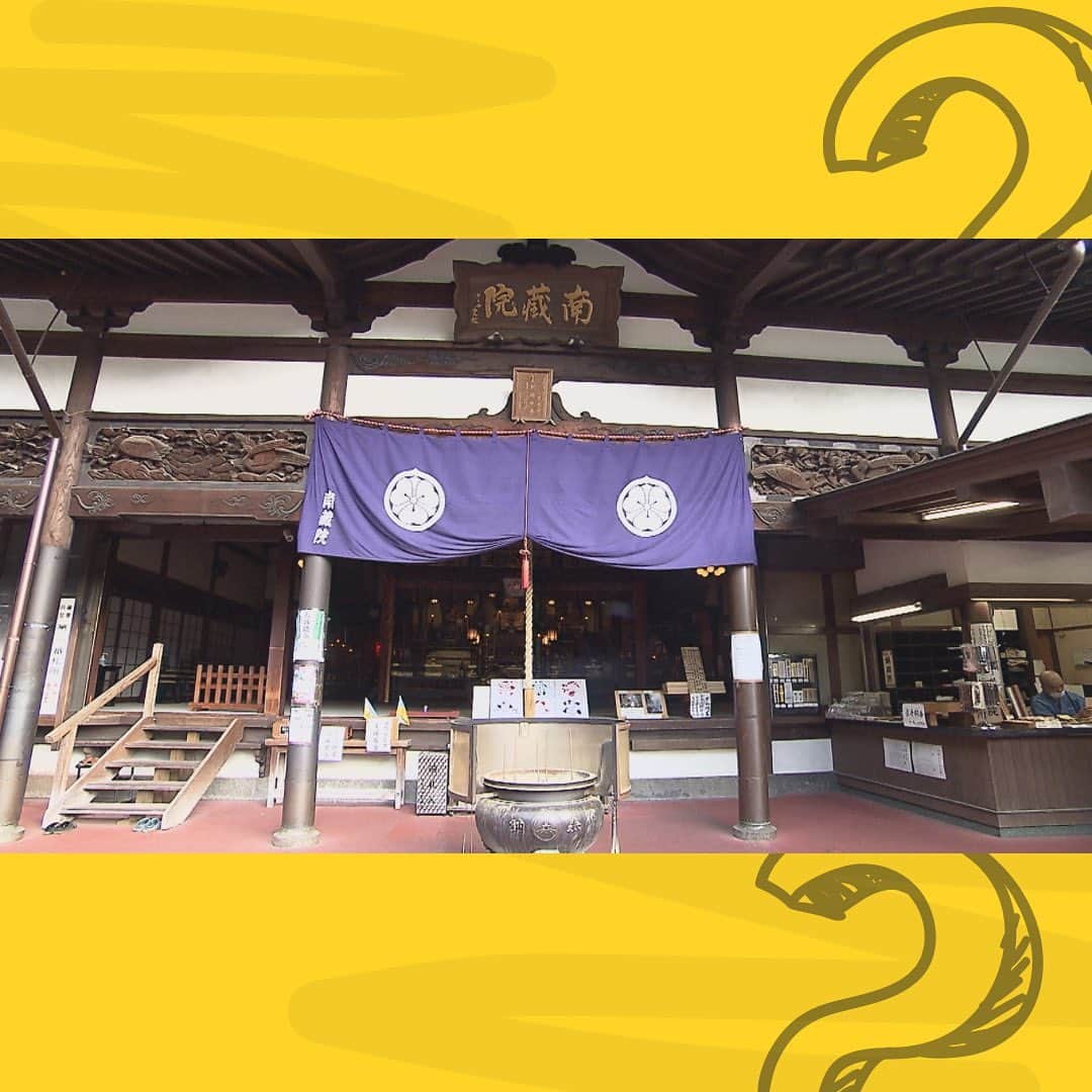 テレビ西日本「ももち浜ストア」さんのインスタグラム写真 - (テレビ西日本「ももち浜ストア」Instagram)「🍽📺 #今日のももち浜ストア   10/23(月)は… 福岡のあらゆるものをクイズで出題する「 #フクオカQ 」 今回は、篠栗町の人気スポットで、由緒ある寺院として 県内はもちろん外国からも多くの参拝者が訪れる “南蔵院”からクイズを出題‪💡   🏞 #ももち浜ストアの糟屋エリアPICKUP     ‎◽️南蔵院‎ 📍福岡県糟屋郡篠栗町大字篠栗1035   🌟大不動明王🌟 ✔︎涅槃像ができる前は南蔵院のメイン   🌟御神木🌟 ✔︎鐘楼堂に雷が落ちた際、側雷で樹皮がはがれ現在のような姿に。 この御神木には 雷神様が彫ってある👀   🌟本堂🌟 ✔︎阿弥陀如来と釈迦如来が祀られている ✔︎かつて本堂は1階建てだったが30年程前に2階建てになった       💰双子堂💰 ✔︎七福神の恵比須様と大黒様が祀られている   💰三鈷の松💰 ✔︎通常の松は葉っぱが2本なのに対し こちらの松は葉っぱが3本になっている。 ✔︎空海が投げた 法具の「三鈷杵」が 一本の松に刺さり、その松の葉が3本になったといわれている霊木🌳 ✔︎3本の葉っぱをお財布の中にお守り代わりに入れておくと 金運上昇に🤩？   💰涅槃像💰 ✔︎ブロンズ製では世界最大級👑 ✔︎涅槃像が完成した際には、仏教界でも激レアな 千人のお坊さんに集まり読経してもらう千僧供養が行われた     ※掲載の情報は全て放送時点での情報です。 提供内容や金額が変更となっている可能性が ありますので、ご了承ください。   ＝＝＝＝＝＝＝＝＝ [ももち浜ストア] ▪︎TNC テレビ西日本 ｢毎週月-金 9:50〜｣ 『LIVE 福岡』を合言葉に、 福岡の旬な出来事を #ももち浜 から さらに早く、より楽しく、わかりやすくお届けします！ ＝＝＝＝＝＝＝＝＝   #福岡 #篠栗町 #南蔵院 #南蔵院涅槃像 #金運 #福岡お出かけ #福岡パワースポット #福岡観光」10月23日 18時52分 - momochihamastore8