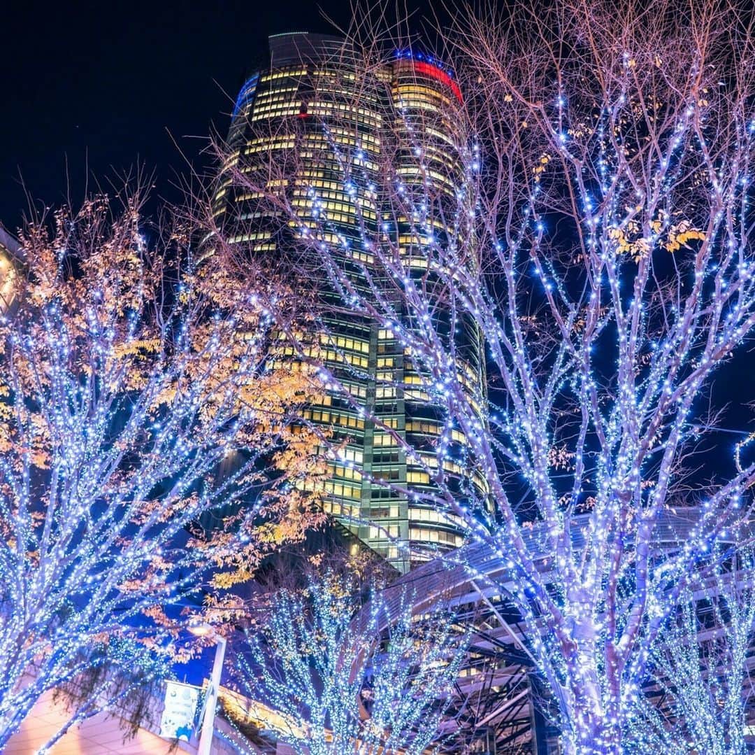 レッツエンジョイ東京さんのインスタグラム写真 - (レッツエンジョイ東京Instagram)「冬の風物詩！けやき坂イルミネーション✨  11/6(月)～12/25(月)までの期間、六本木ヒルズで「Roppongi Hills Christmas 2023」を開催予定！  冬の風物詩である「けやき坂イルミネーション」が点灯し、約400m続くけやき坂の並木道を、幻想的な“SNOW＆BLUE”のLED約80万灯が彩ります。  大屋根プラザでは、本場ドイツのクリスマスを再現した毎年恒例の「クリスマスマーケット」が開催されるほか、毛利庭園やウェストウォークには「クリスマスツリー」も登場し、街がクリスマスムード一色に。  開業20年を迎えた六本木ヒルズで、心温まる特別なクリスマスを過ごしてみてはいかがでしょうか🎄  🔸六本木ヒルズ @roppongihillsofficial 📍東京都港区六本木6丁目 🚉六本木  #レッツエンジョイ東京 #おでかけ #おでかけスポット #東京 #デート #デートスポット #東京観光 #東京イベント #期間限定イベント #冬 #イルミネーション #イルミネーション2023  #東京イルミネーション #六本木イルミネーション #イルミネーションデート #クリスマス #クリスマス2023 #クリスマスデート #東京クリスマス #クリスマスマーケット #ライトアップ #六本木デート #六本木 #けやき坂イルミネーション #夜景 #日本の風景 #東京タワー #けやき坂 #roppongihills #六本木ヒルズ」10月23日 19時01分 - lets_enjoytokyo
