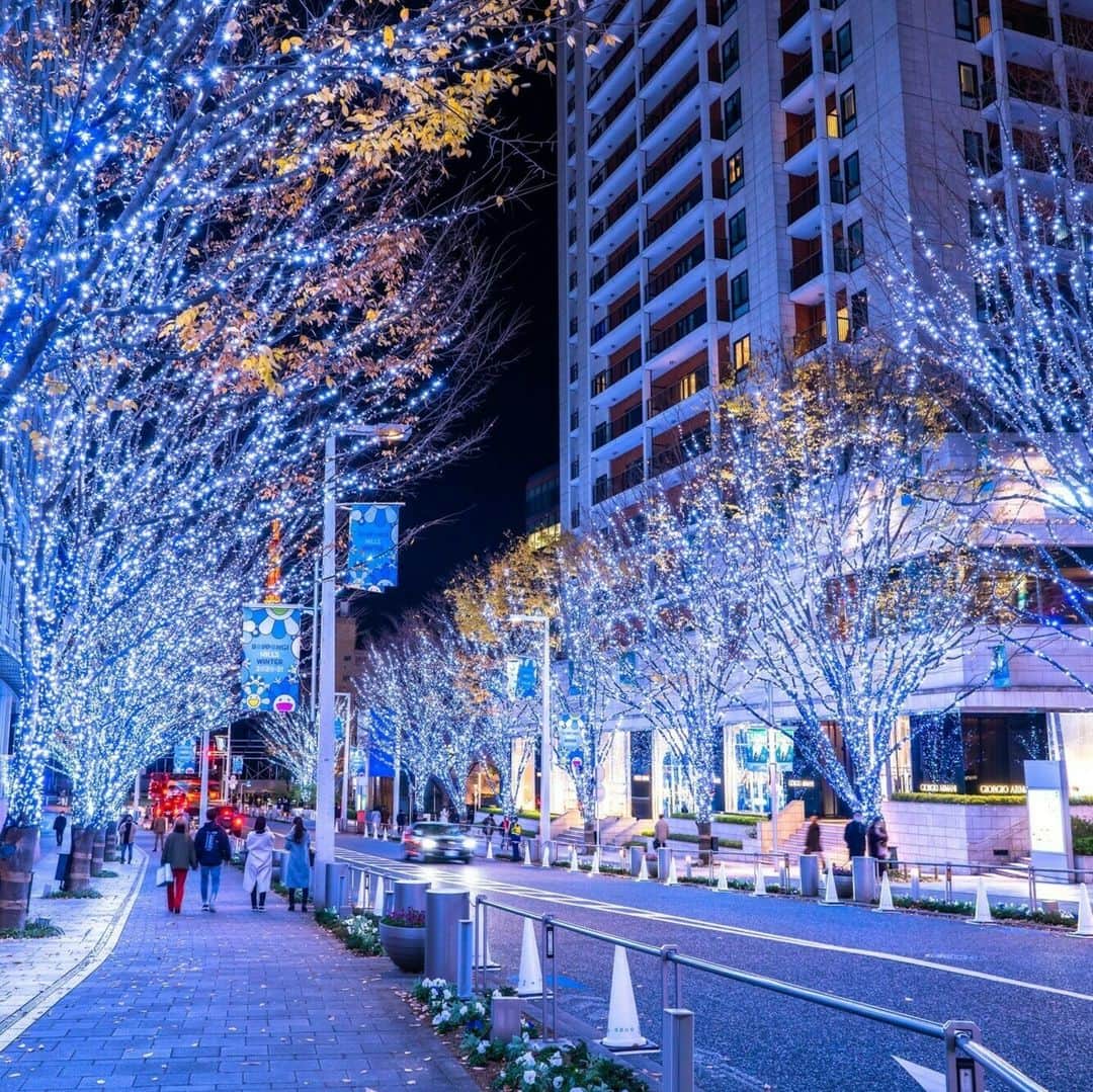 レッツエンジョイ東京さんのインスタグラム写真 - (レッツエンジョイ東京Instagram)「冬の風物詩！けやき坂イルミネーション✨  11/6(月)～12/25(月)までの期間、六本木ヒルズで「Roppongi Hills Christmas 2023」を開催予定！  冬の風物詩である「けやき坂イルミネーション」が点灯し、約400m続くけやき坂の並木道を、幻想的な“SNOW＆BLUE”のLED約80万灯が彩ります。  大屋根プラザでは、本場ドイツのクリスマスを再現した毎年恒例の「クリスマスマーケット」が開催されるほか、毛利庭園やウェストウォークには「クリスマスツリー」も登場し、街がクリスマスムード一色に。  開業20年を迎えた六本木ヒルズで、心温まる特別なクリスマスを過ごしてみてはいかがでしょうか🎄  🔸六本木ヒルズ @roppongihillsofficial 📍東京都港区六本木6丁目 🚉六本木  #レッツエンジョイ東京 #おでかけ #おでかけスポット #東京 #デート #デートスポット #東京観光 #東京イベント #期間限定イベント #冬 #イルミネーション #イルミネーション2023  #東京イルミネーション #六本木イルミネーション #イルミネーションデート #クリスマス #クリスマス2023 #クリスマスデート #東京クリスマス #クリスマスマーケット #ライトアップ #六本木デート #六本木 #けやき坂イルミネーション #夜景 #日本の風景 #東京タワー #けやき坂 #roppongihills #六本木ヒルズ」10月23日 19時01分 - lets_enjoytokyo