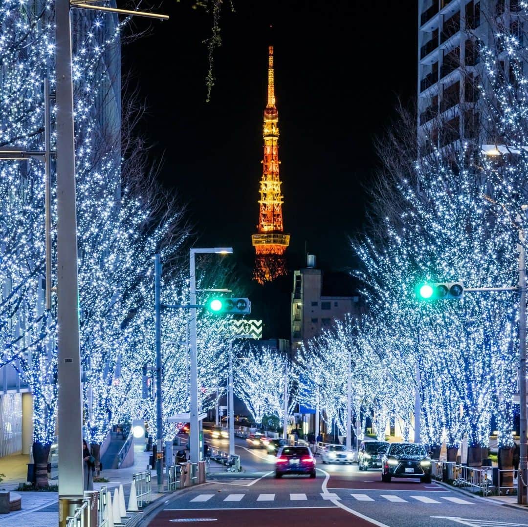 のインスタグラム：「冬の風物詩！けやき坂イルミネーション✨  11/6(月)～12/25(月)までの期間、六本木ヒルズで「Roppongi Hills Christmas 2023」を開催予定！  冬の風物詩である「けやき坂イルミネーション」が点灯し、約400m続くけやき坂の並木道を、幻想的な“SNOW＆BLUE”のLED約80万灯が彩ります。  大屋根プラザでは、本場ドイツのクリスマスを再現した毎年恒例の「クリスマスマーケット」が開催されるほか、毛利庭園やウェストウォークには「クリスマスツリー」も登場し、街がクリスマスムード一色に。  開業20年を迎えた六本木ヒルズで、心温まる特別なクリスマスを過ごしてみてはいかがでしょうか🎄  🔸六本木ヒルズ @roppongihillsofficial 📍東京都港区六本木6丁目 🚉六本木  #レッツエンジョイ東京 #おでかけ #おでかけスポット #東京 #デート #デートスポット #東京観光 #東京イベント #期間限定イベント #冬 #イルミネーション #イルミネーション2023  #東京イルミネーション #六本木イルミネーション #イルミネーションデート #クリスマス #クリスマス2023 #クリスマスデート #東京クリスマス #クリスマスマーケット #ライトアップ #六本木デート #六本木 #けやき坂イルミネーション #夜景 #日本の風景 #東京タワー #けやき坂 #roppongihills #六本木ヒルズ」