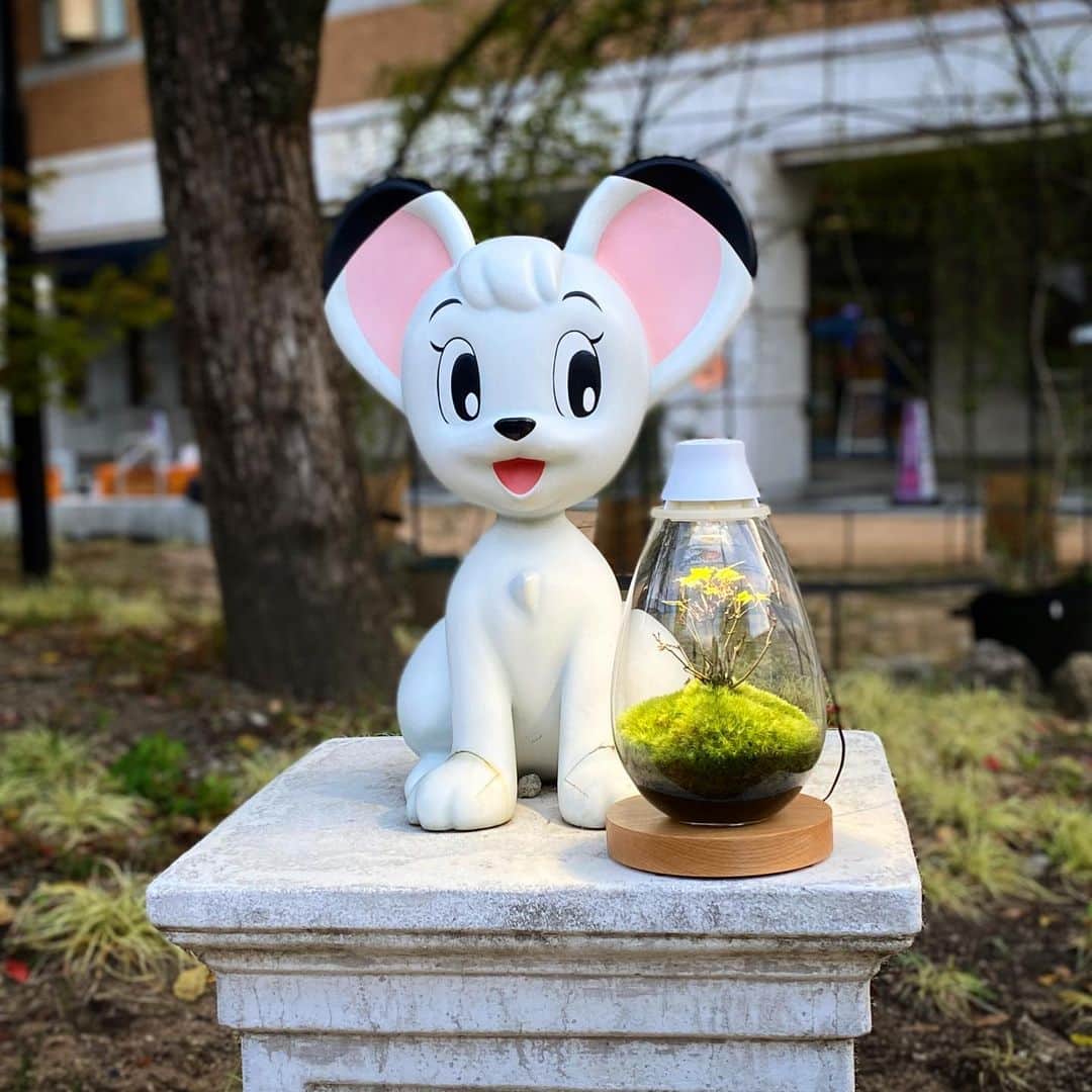 Mosslight-LEDさんのインスタグラム写真 - (Mosslight-LEDInstagram)「Mosslight   #天下一植物界2023  搬出後の1枚 会場の隣りは手塚治虫記念館  来年の開催もここが楽しい。  #mosslight #モスライト#天下一植物界」10月23日 19時07分 - mosslight1955