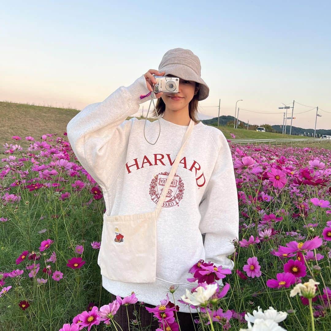 今田美奈のインスタグラム：「🩷💜^_^♪💜🩷 コスモスいっぱい、トレーナー１枚で着れるこの季節大好き〜🫶」