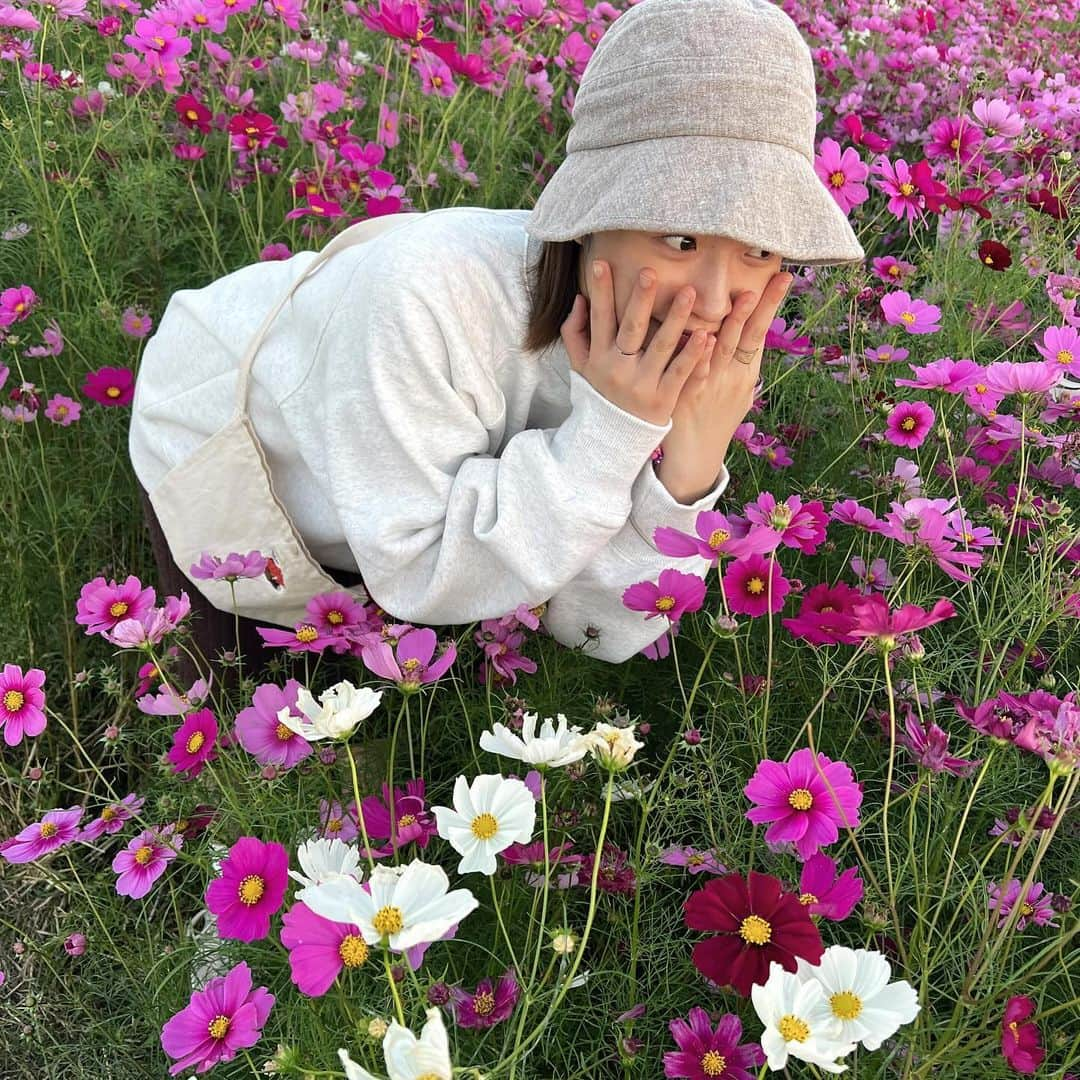 今田美奈さんのインスタグラム写真 - (今田美奈Instagram)「🩷💜^_^♪💜🩷 コスモスいっぱい、トレーナー１枚で着れるこの季節大好き〜🫶」10月23日 19時17分 - _minaimd.j_